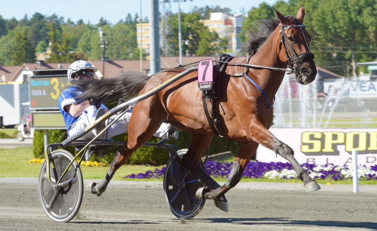 Uza Josselyn gjorde karriärens sista start i Grand Critérium de Vitesse. Foto: Leif Norberg, ALN