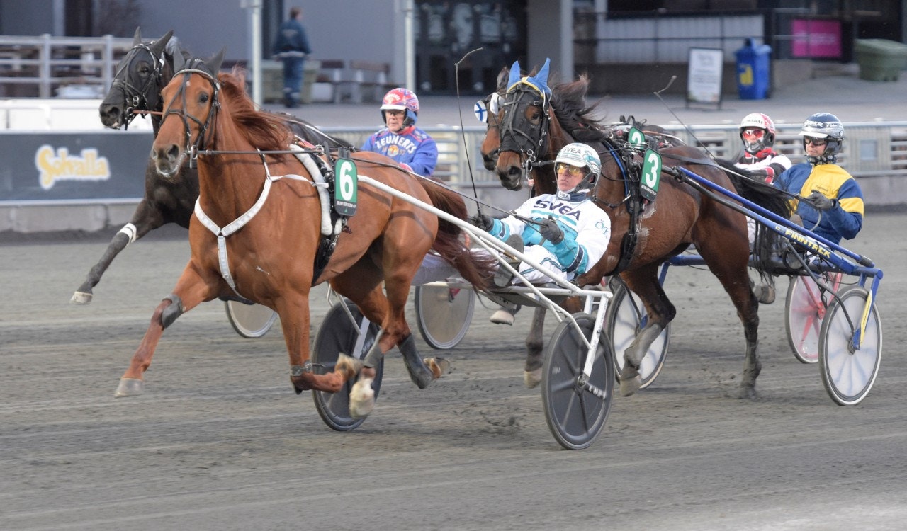 Conrad Rödluva löste årsdebuten på bästa sätt. Foto: Leif Norberg, ALN
