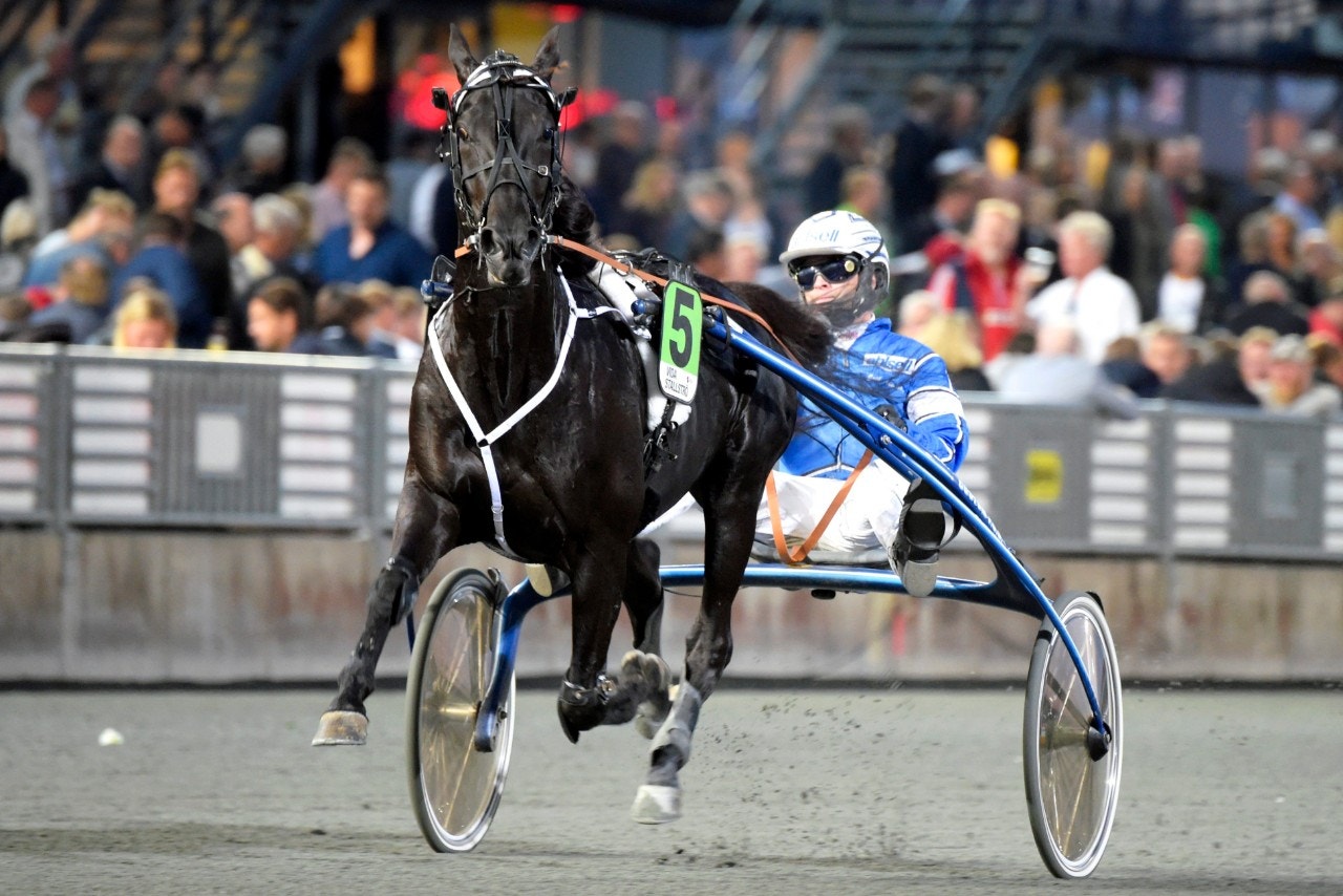 De tio gör upp i Finlandia-Ajo