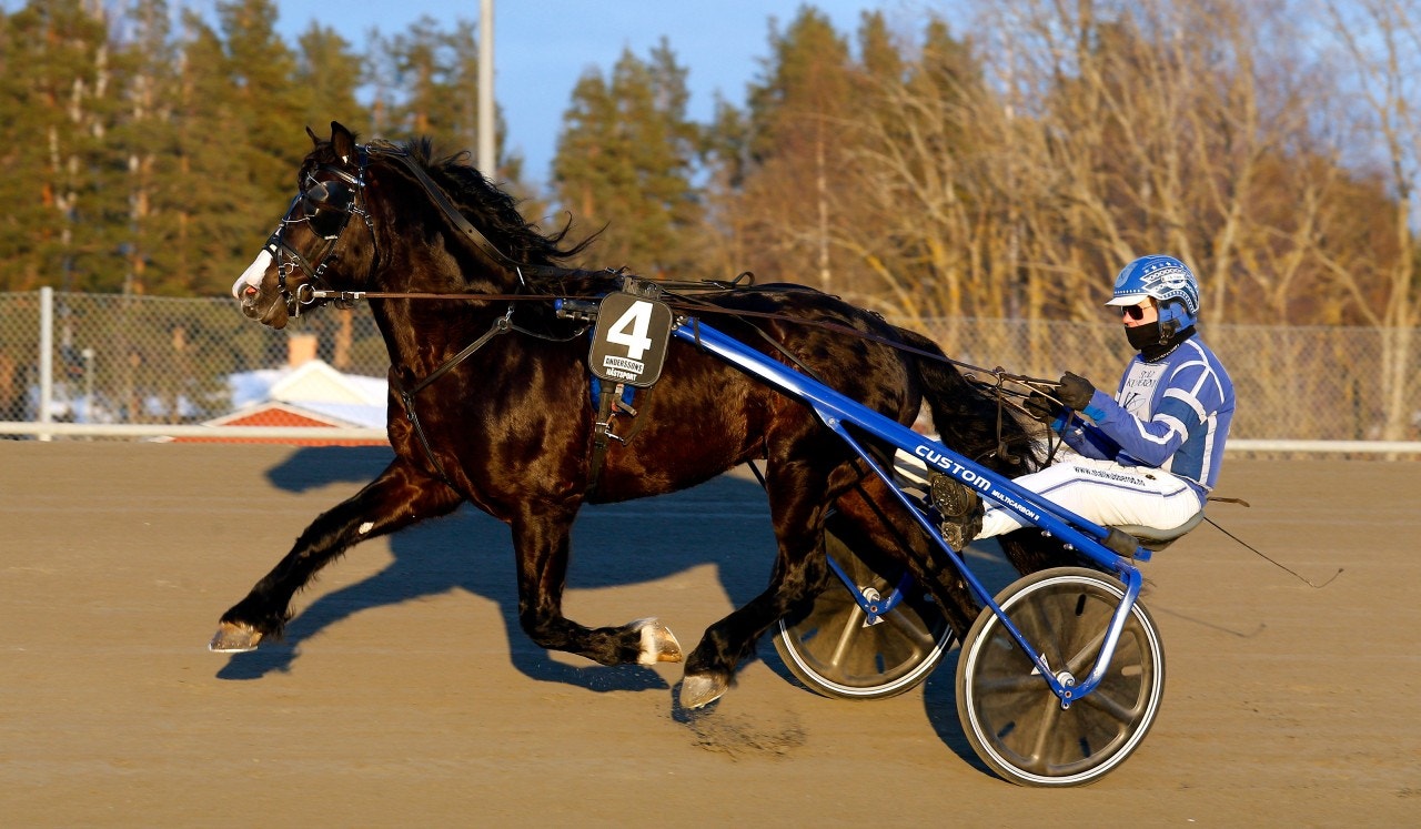 Rätt distans för Ard i kväll. Foto: Hanold, ALN