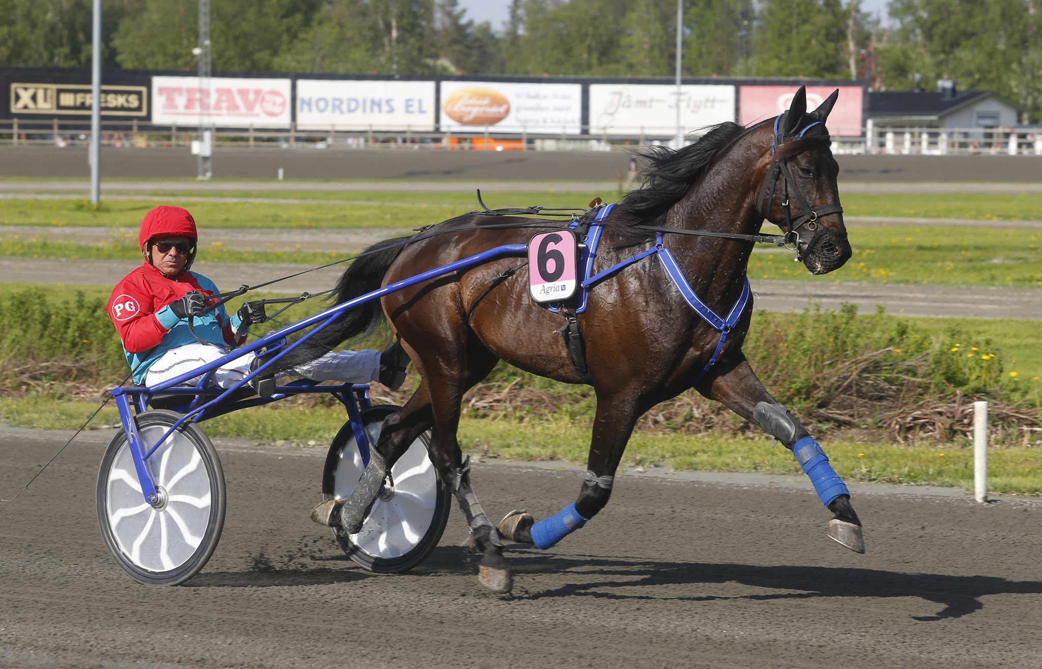 Startfältet komplett i Ulf Thoresens