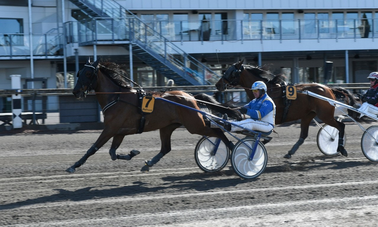 Veijo vinner med Wild Action. Foto: Göran Lindskog, ALN