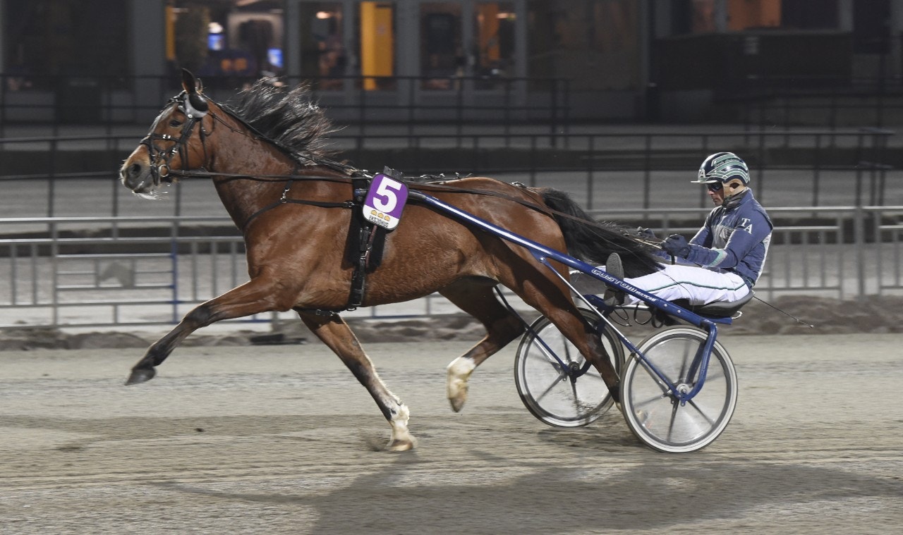 Picasso vid segern i Gävle. Foto: Christer Norin, ALN