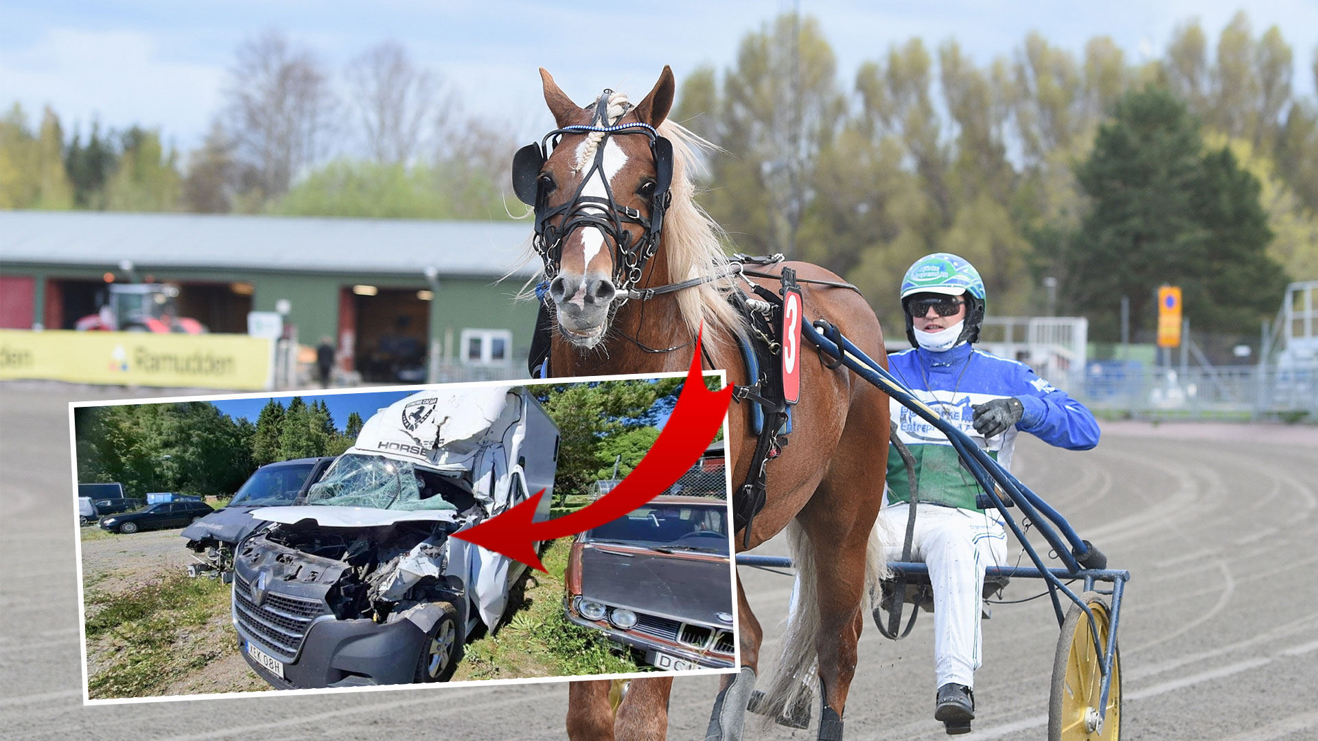 Hästen som kraschade och vann - ny hos Pettersson