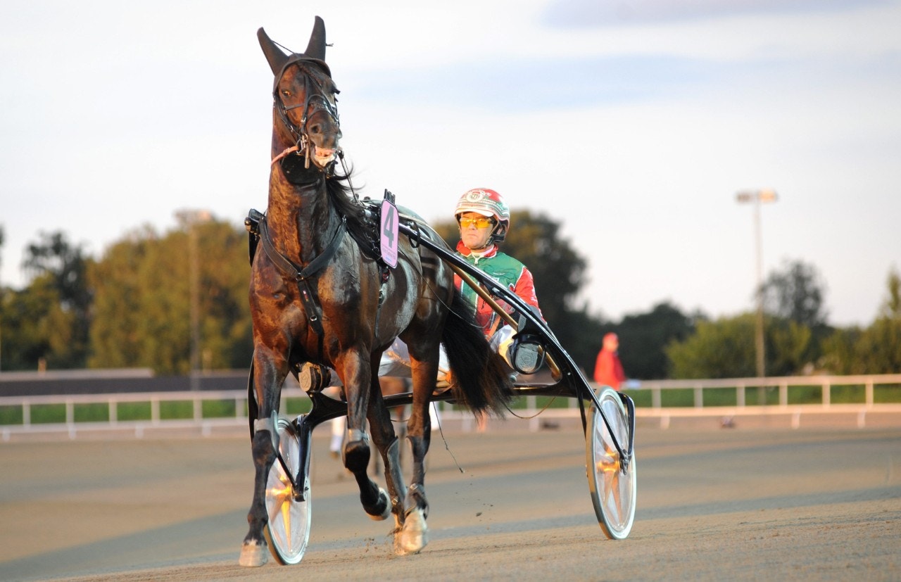 Tycoon Conway Hall var tillbaka på banan efter 1,5 års frånvaro. Foto: Jörgen Tufvesson, ALN