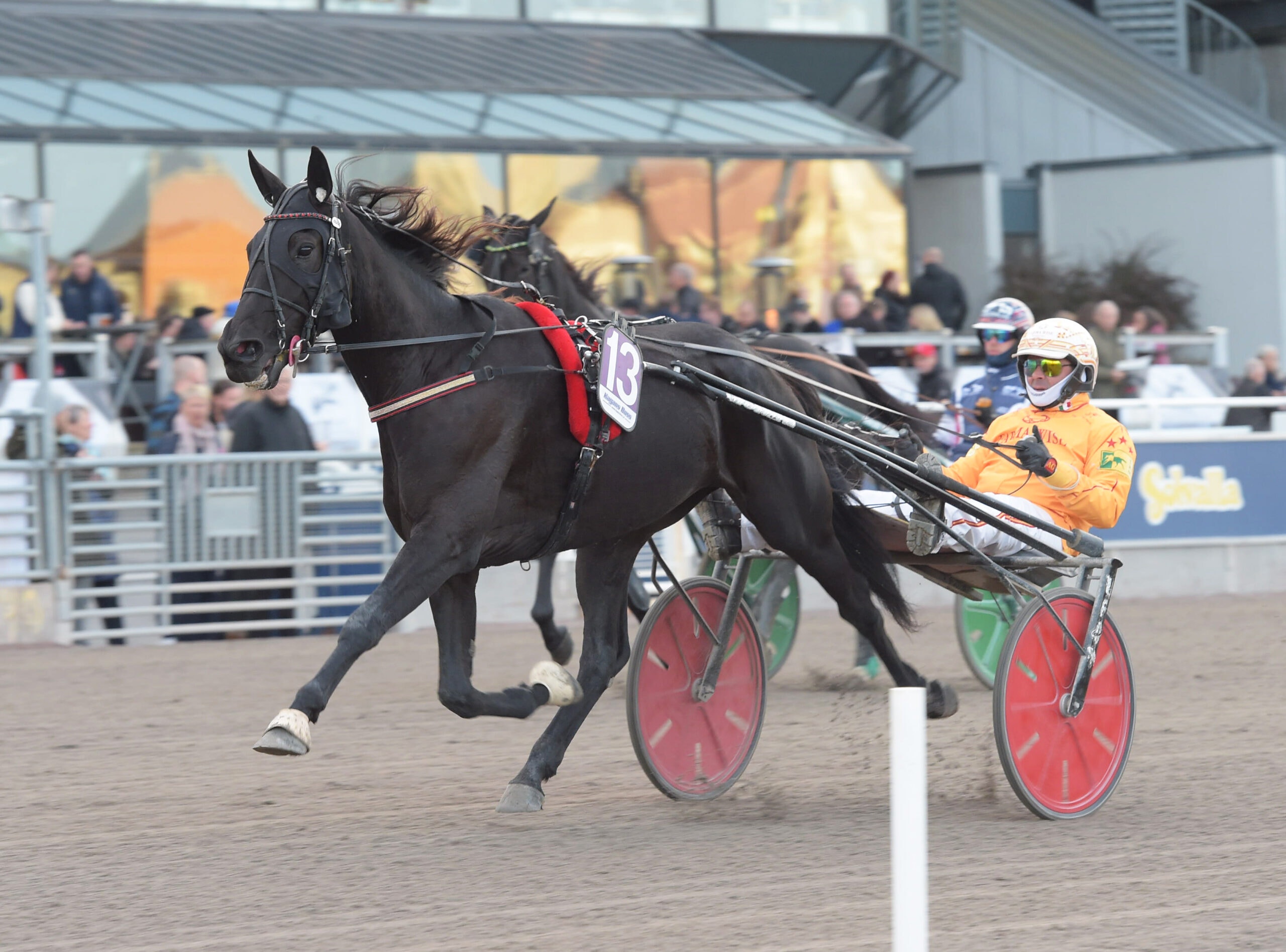 Svart travhäst med röd sulky och kusken i gul tävlingsdräkt under tävling på travbana med publik i bakgrunden.
Foto: Lars Jakobsson/TR Bild