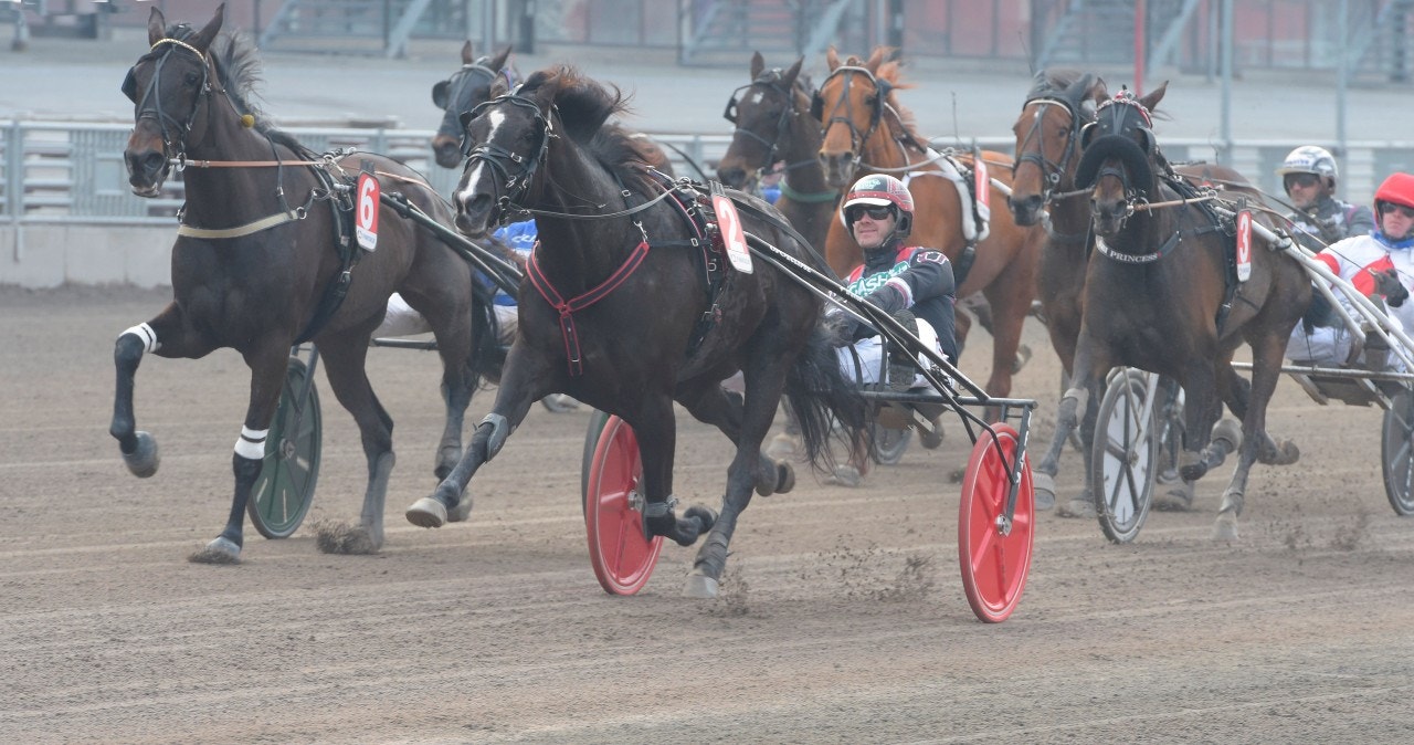 Storlopp för Dear Friend