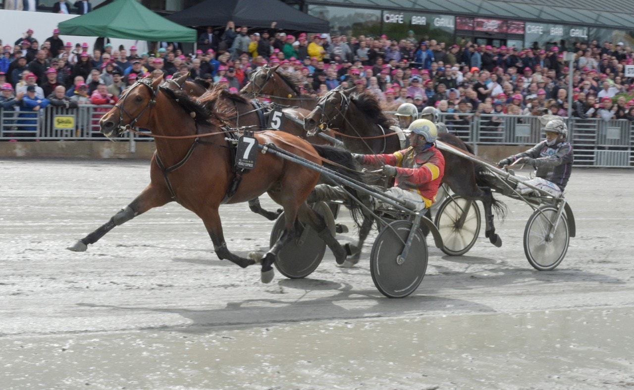 Elitloppet försök: Inga problem för Readly Express