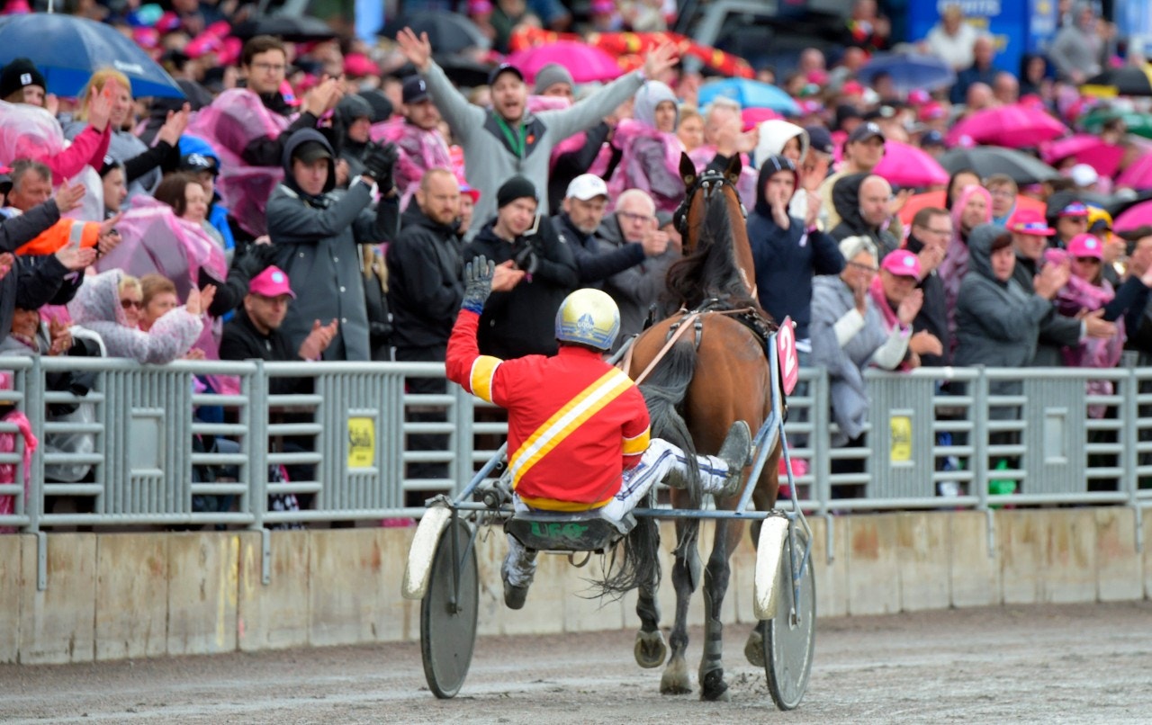 Fem hingstar fick full bok