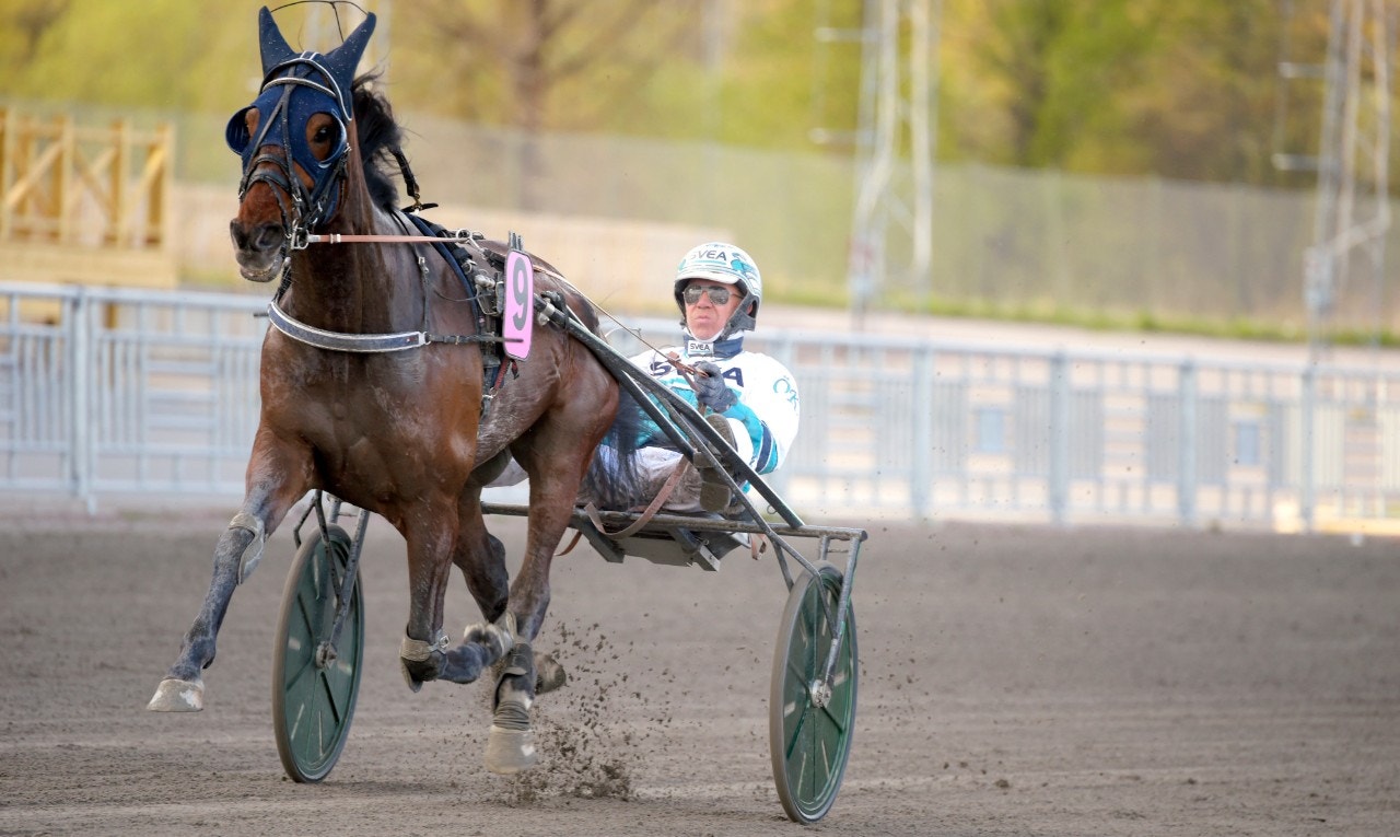 Seismic Wave jagar segern i Henning Mårthans Minne. Foto: Martin Langels, ALN