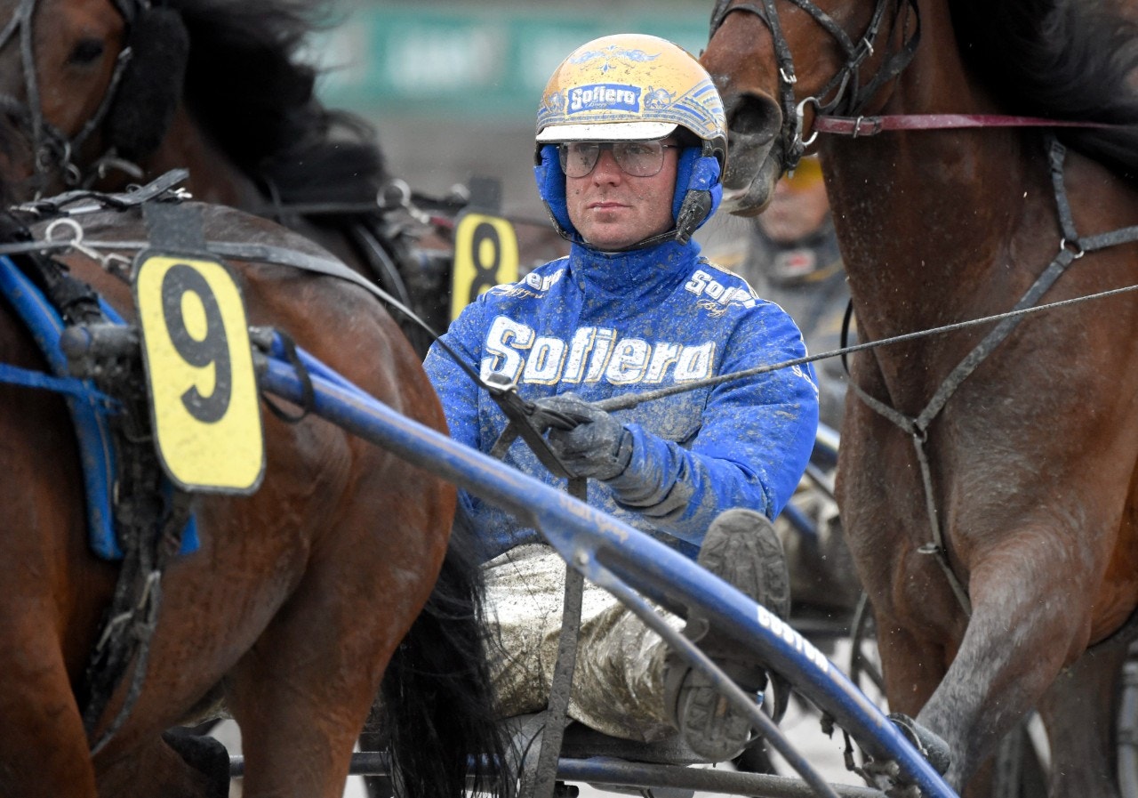 Björn Goop tränar Bold Eagle-systern Hunter Valley. Foto: Martin Langels, ALN