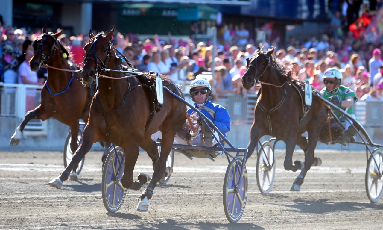 Giveitgasandgo vid seger under Elitlopps-helgen 2018. Foto: Martin Langels, ALN