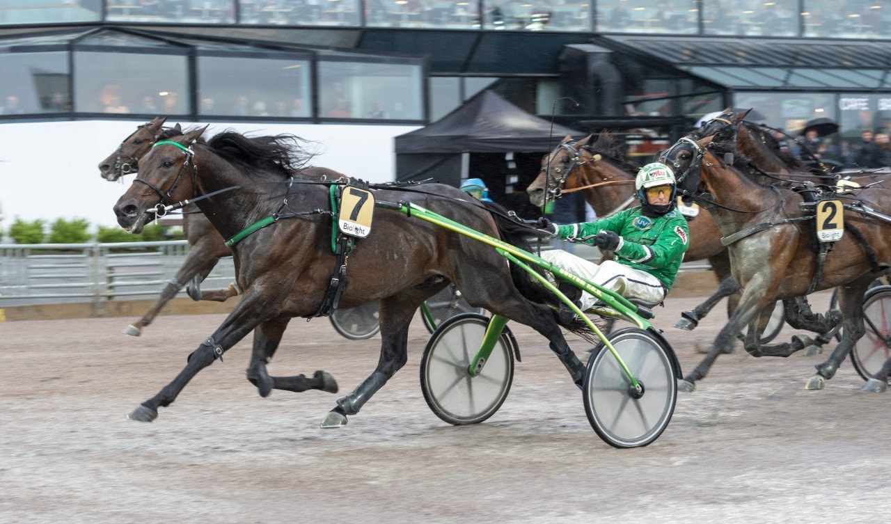 Kommer Graceful Swamp att kunna utmana Face Time Bourbon i Europaderbyts final? Foto: ALN