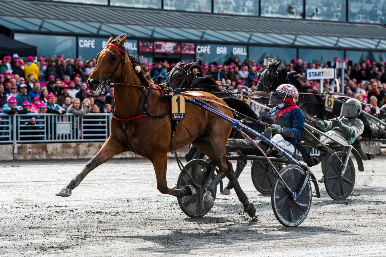 Aubrion du Gers vinner Elitloppets försök, hästens sista seger. Foto: Jonathan Näckstrand, Bildbyrån