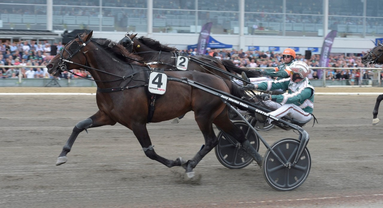 Hambo-finalisten från Riordan till Norge