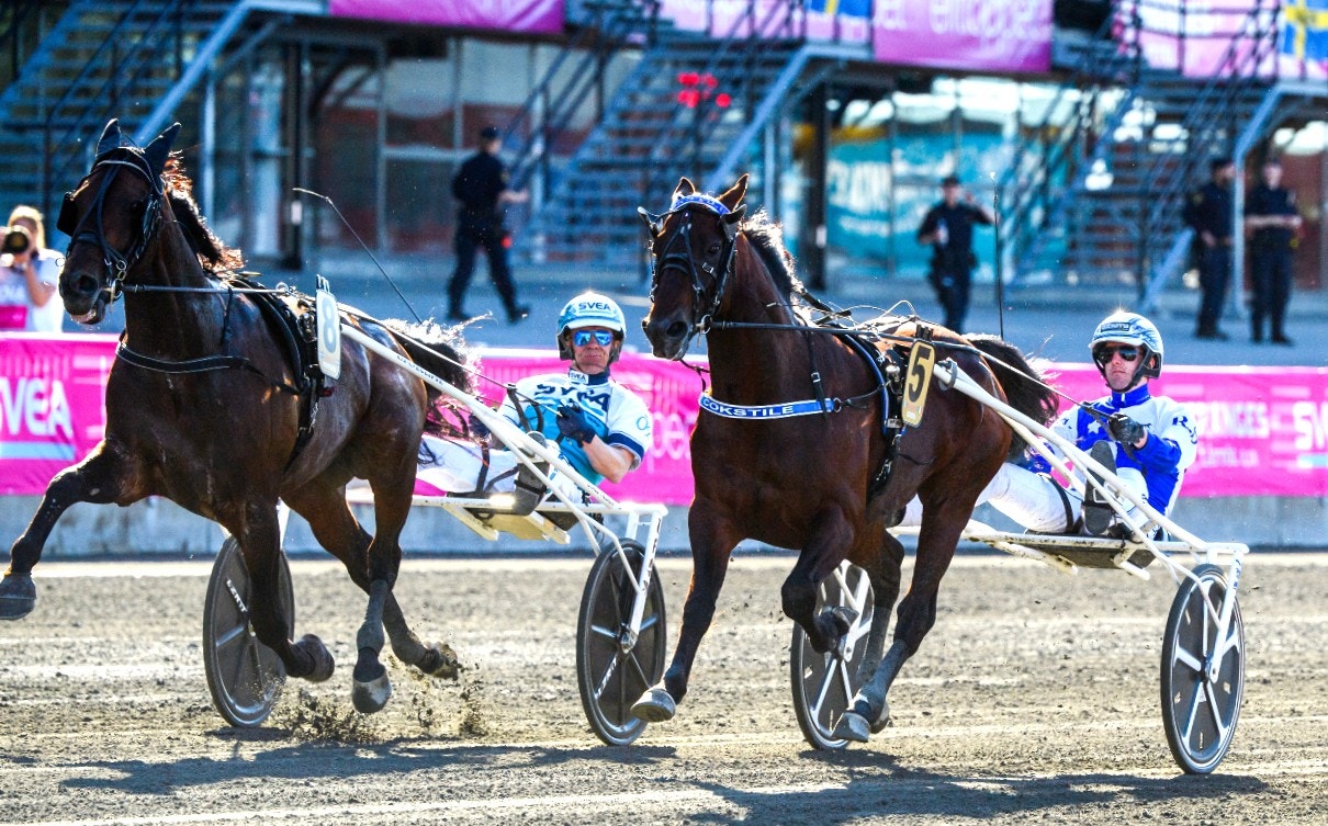 Cokstile vann Elitloppet efter Propulsions diskning. Nu står hästen skadad. Foto: Simon Hastegård, Bildbyrån