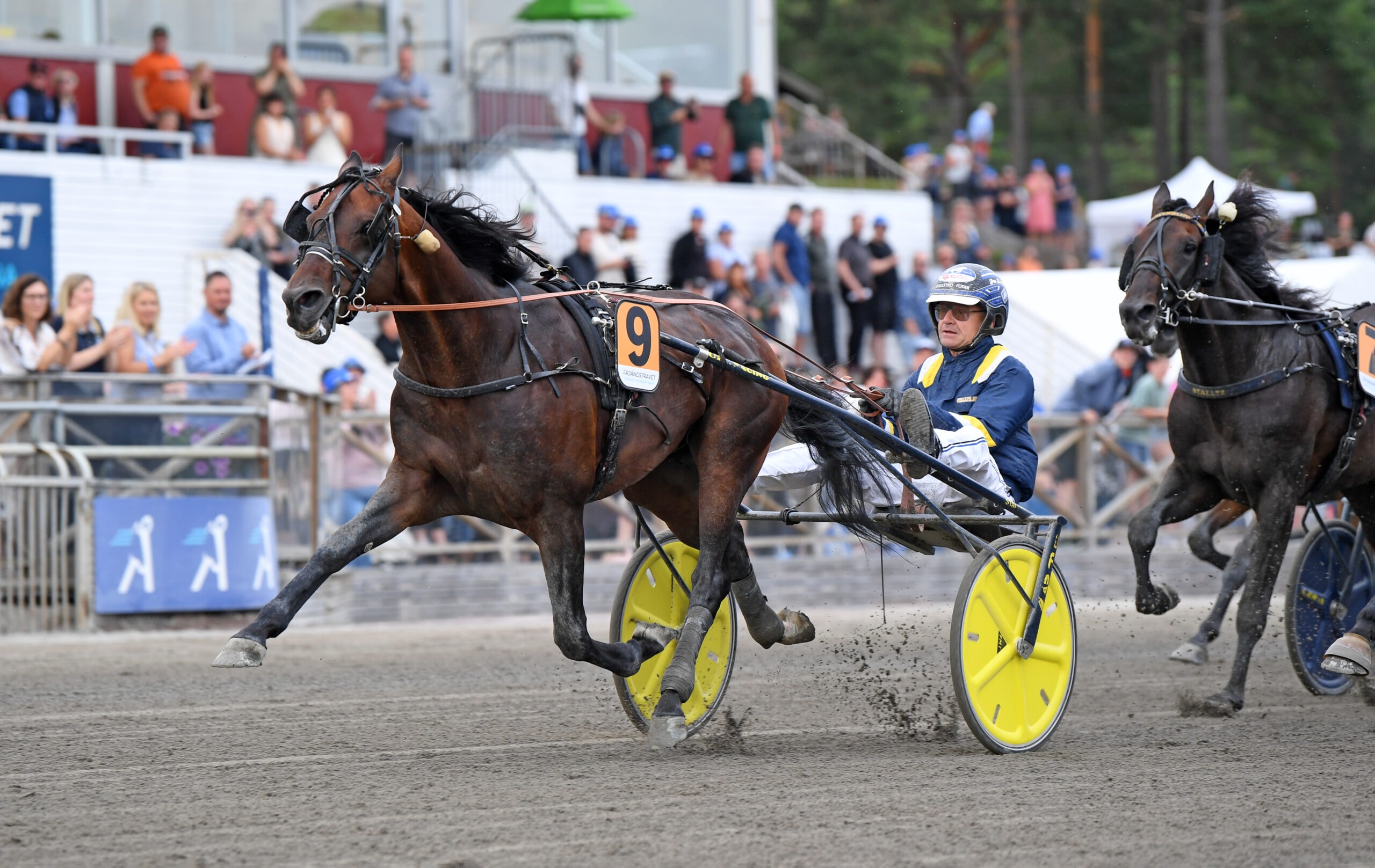 Foto: Malin Albinsson / TR Bild