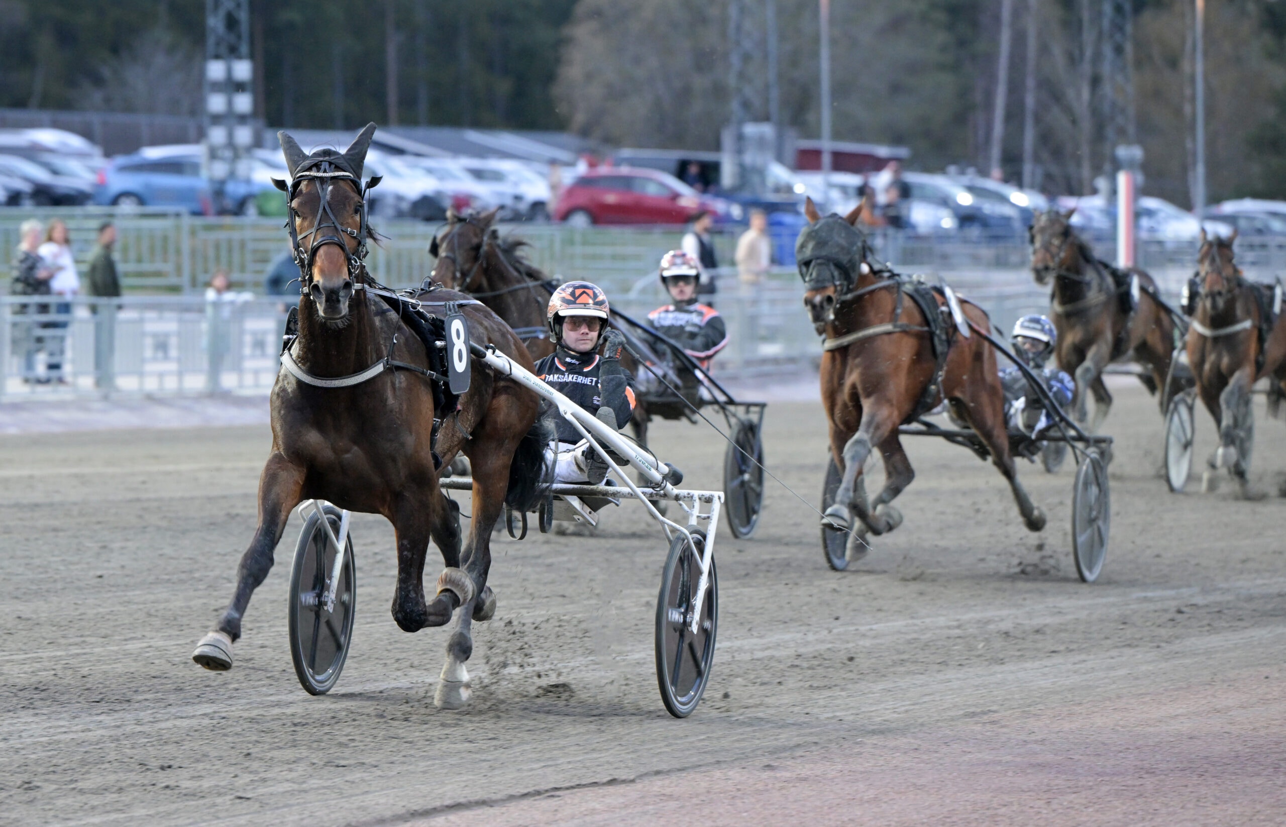 Stenströmer inför V75 – "jättebra i jobbet i måndags"