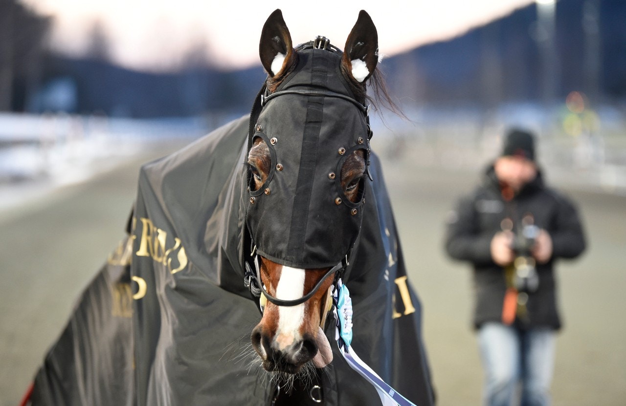 Disco Volante i guldfinal