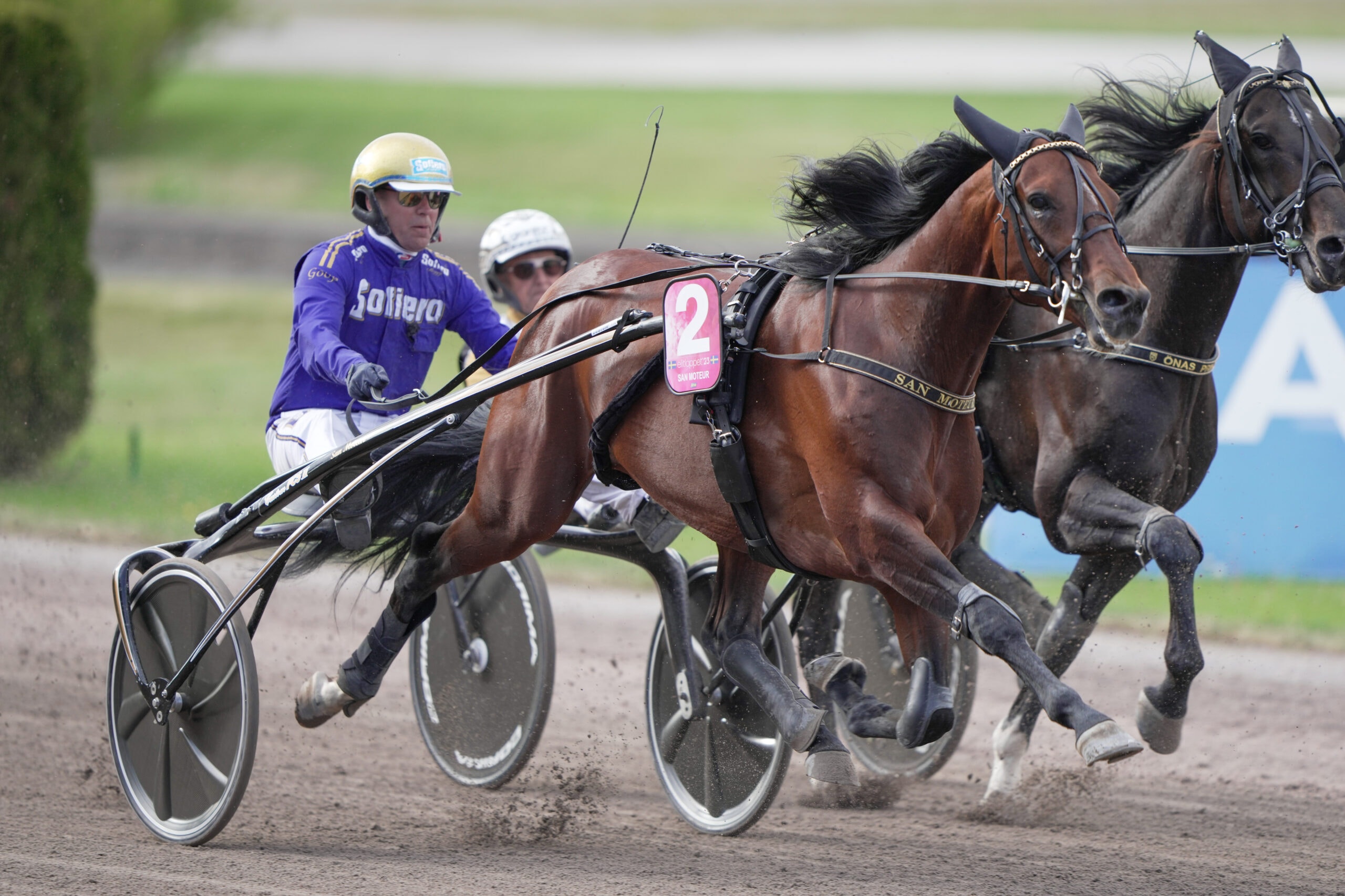 Så är läget med San Moteur – Elitloppet är inte avskrivet