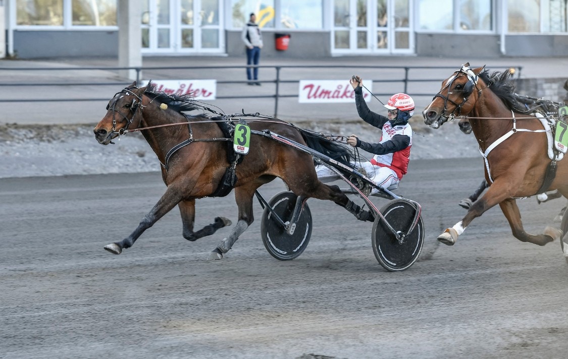 Next Direction gjorde årsdebut - vann Guldbjörken från dödens. Foto: ALN