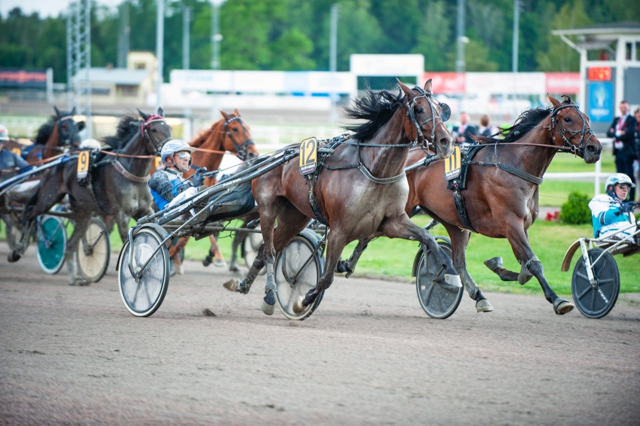 Activated spurtar hem också Stochampionatet. Foto: Johan Grundin, ALN