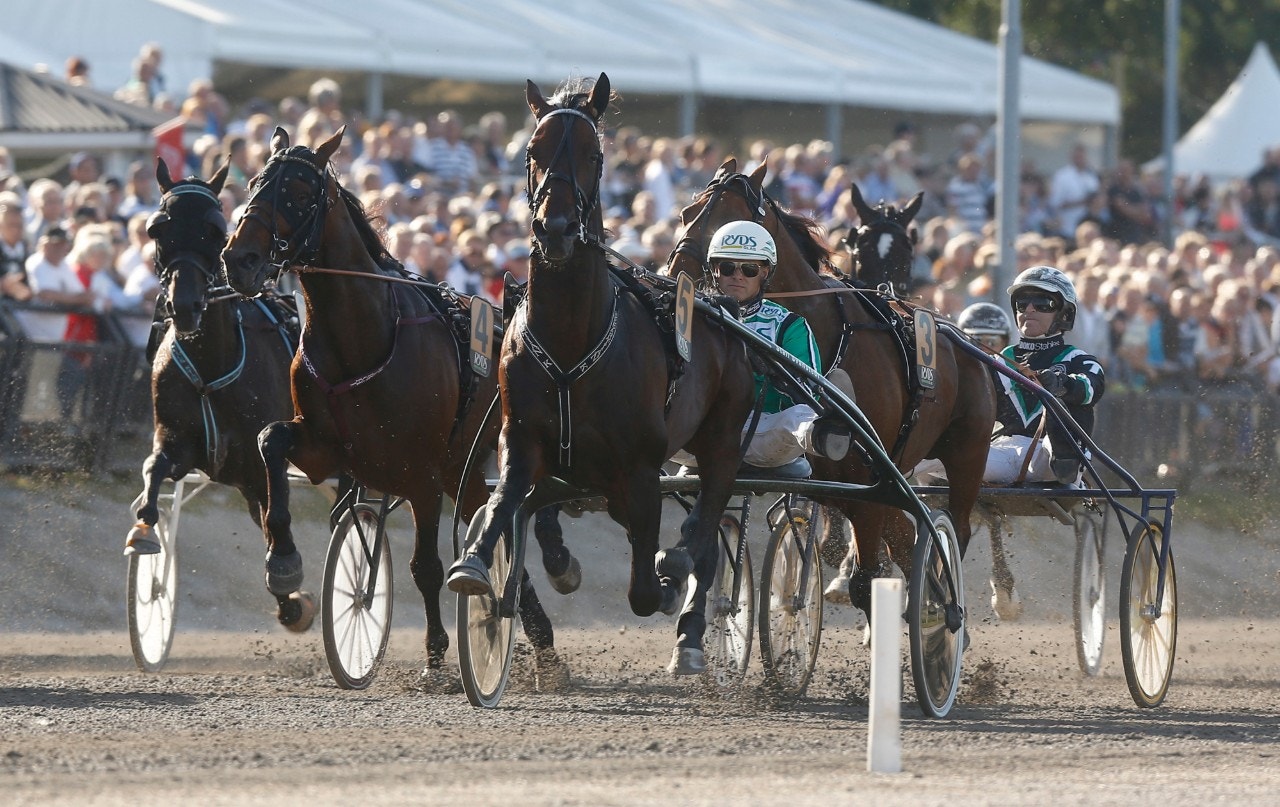 Sebastian K. ska spendera hösten i Australien. Foto: Micke Gustafsson, ALN
