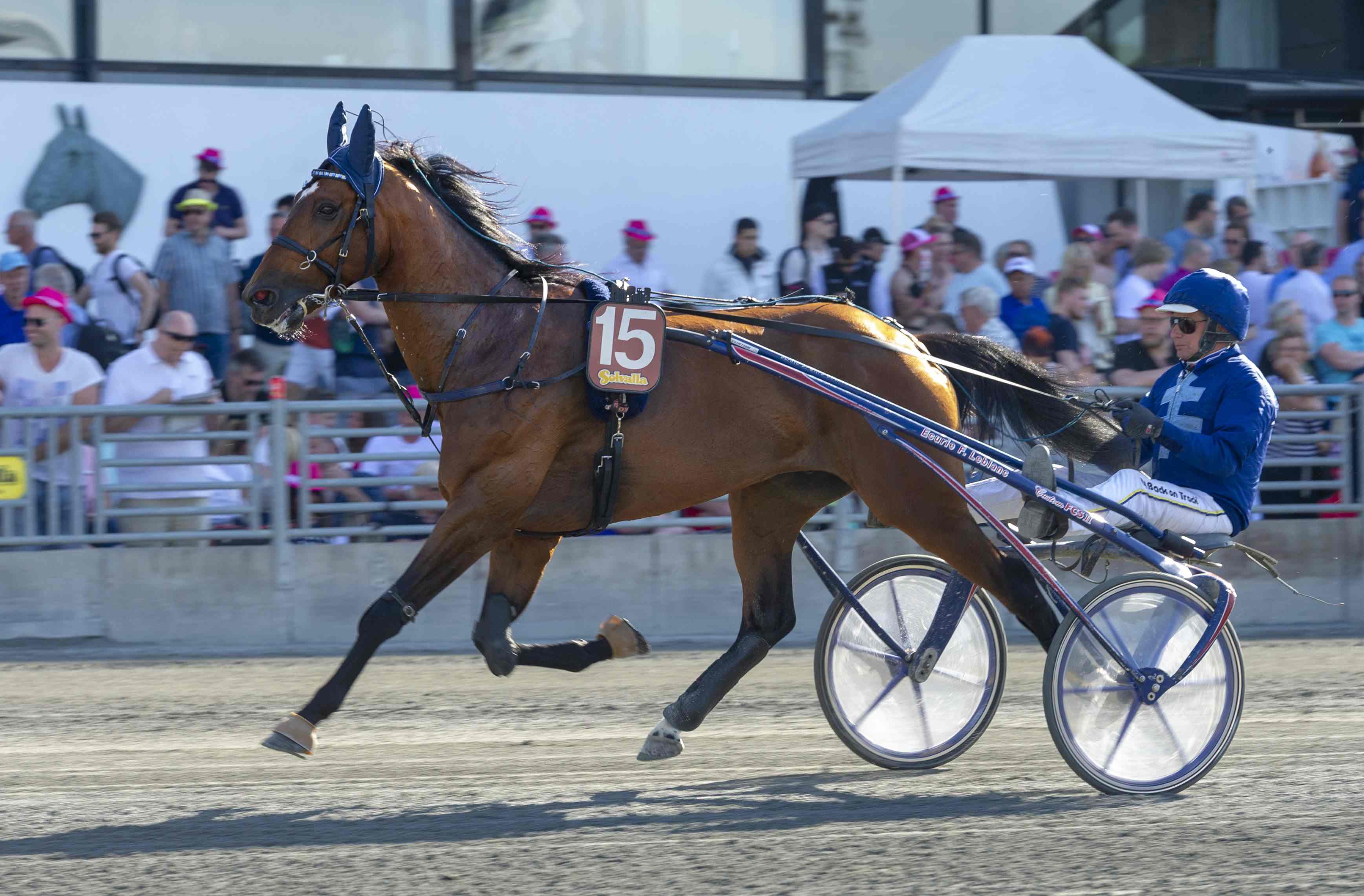 Bjerke: Franskt i Energima Cup