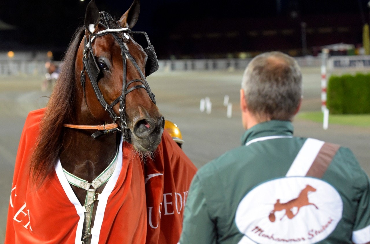 Who's Who vänder hemåt