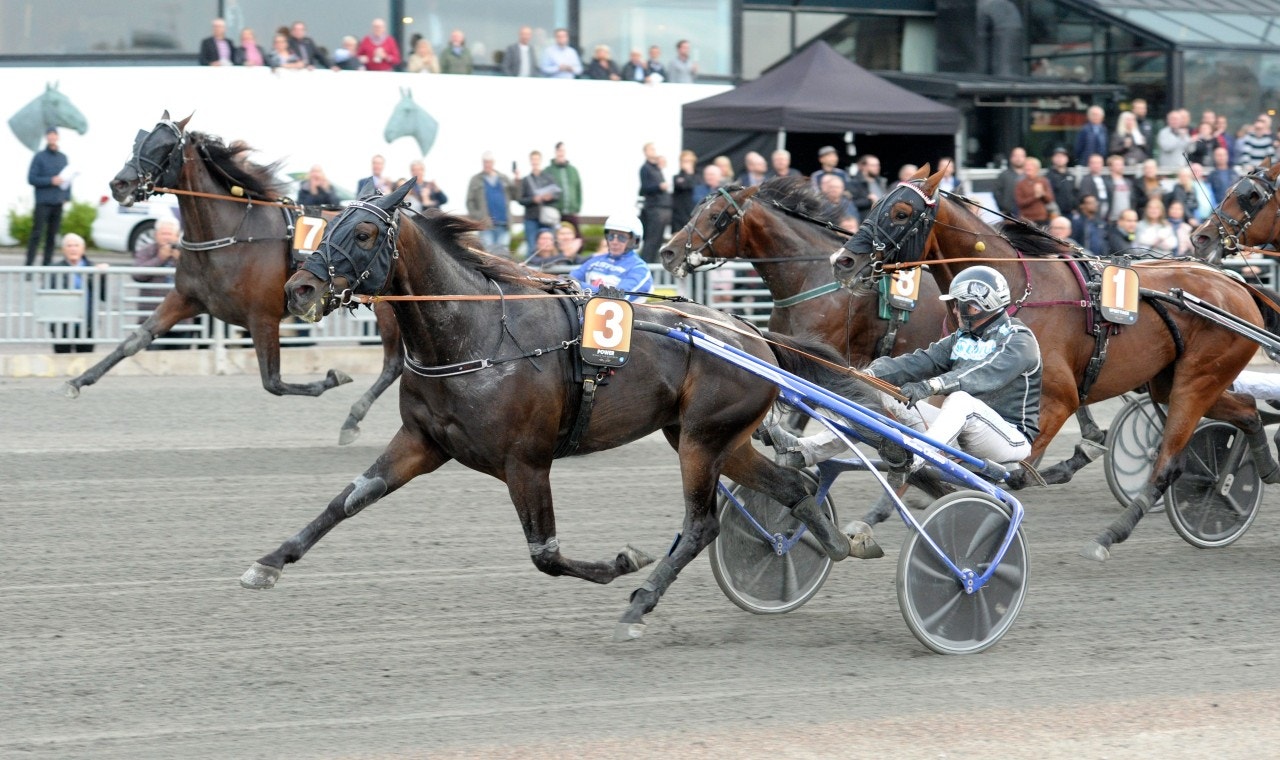 Fokus på avelskarriär för Power
