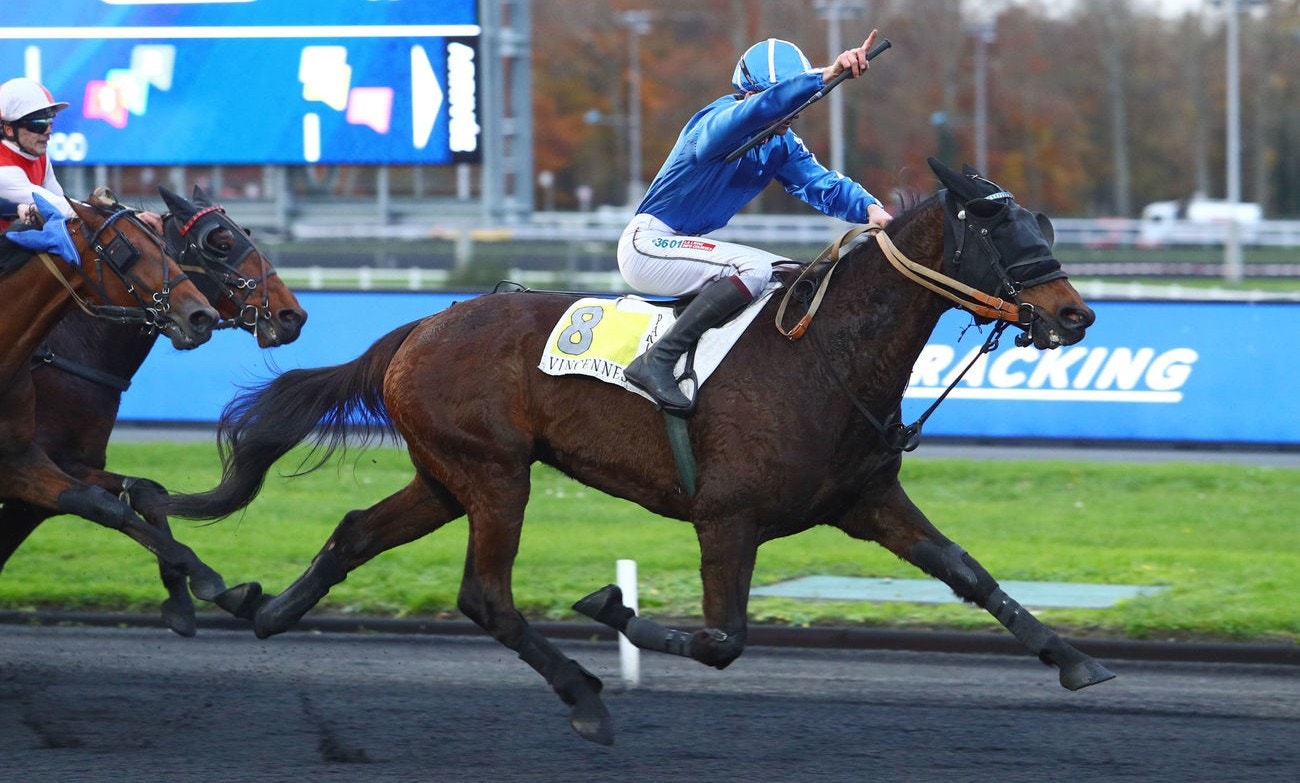 David Thomain gör segergest när Clegs des Champs vinner Prix Paul Buquet. Foto: Gerard Forni, Scoop Dyga