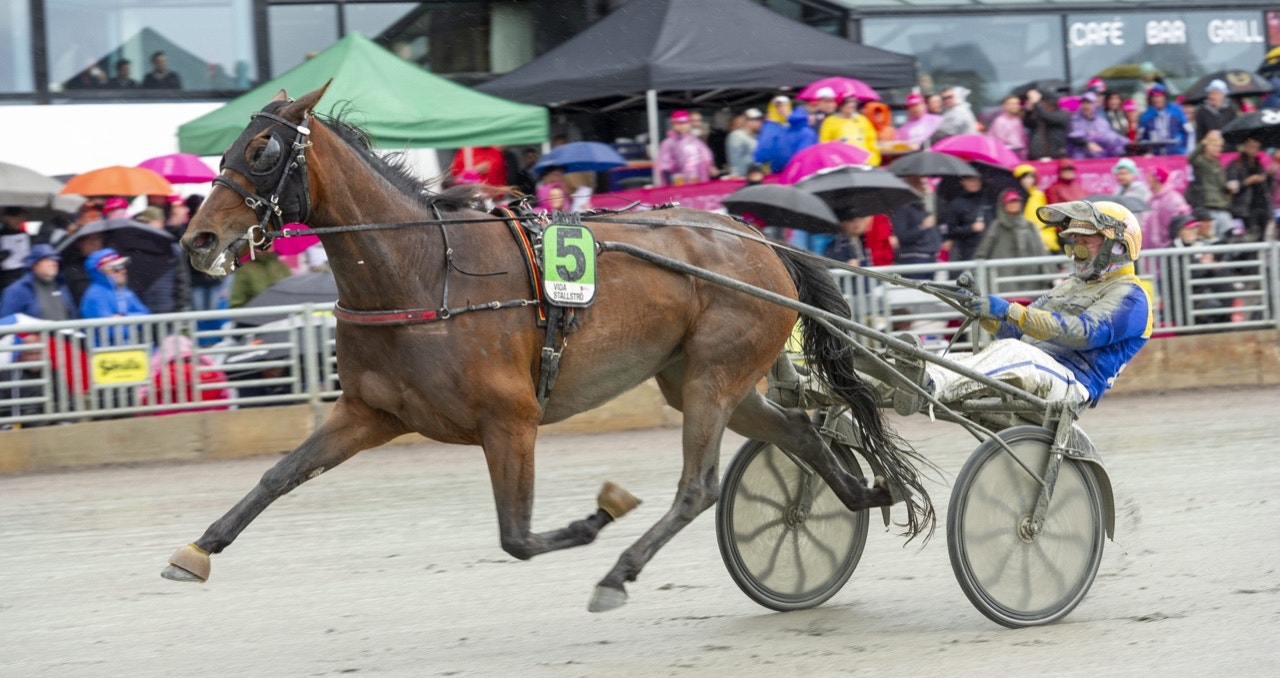Bjerke: Zalei Gar krossade alla