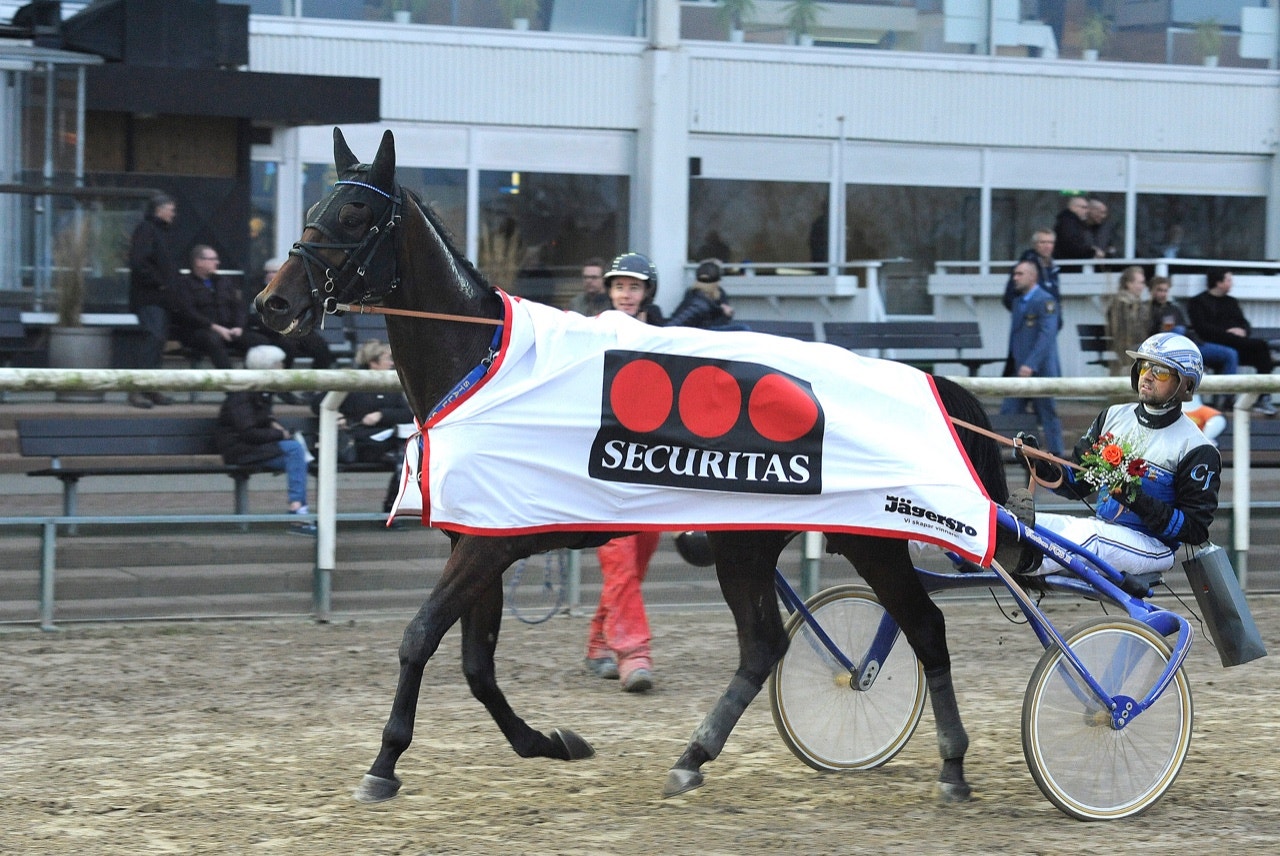 STL: Sjunde raka för Giant Shadow