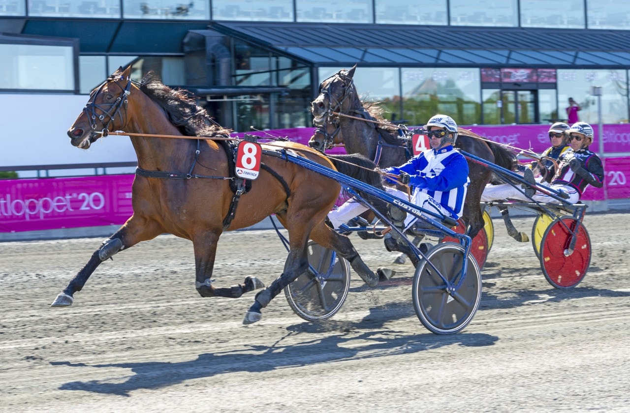 Ecurie D. var förkrossande i Fyraåringseliten - vann på 1.09,2. Foto: Tommy Andersson, ALN