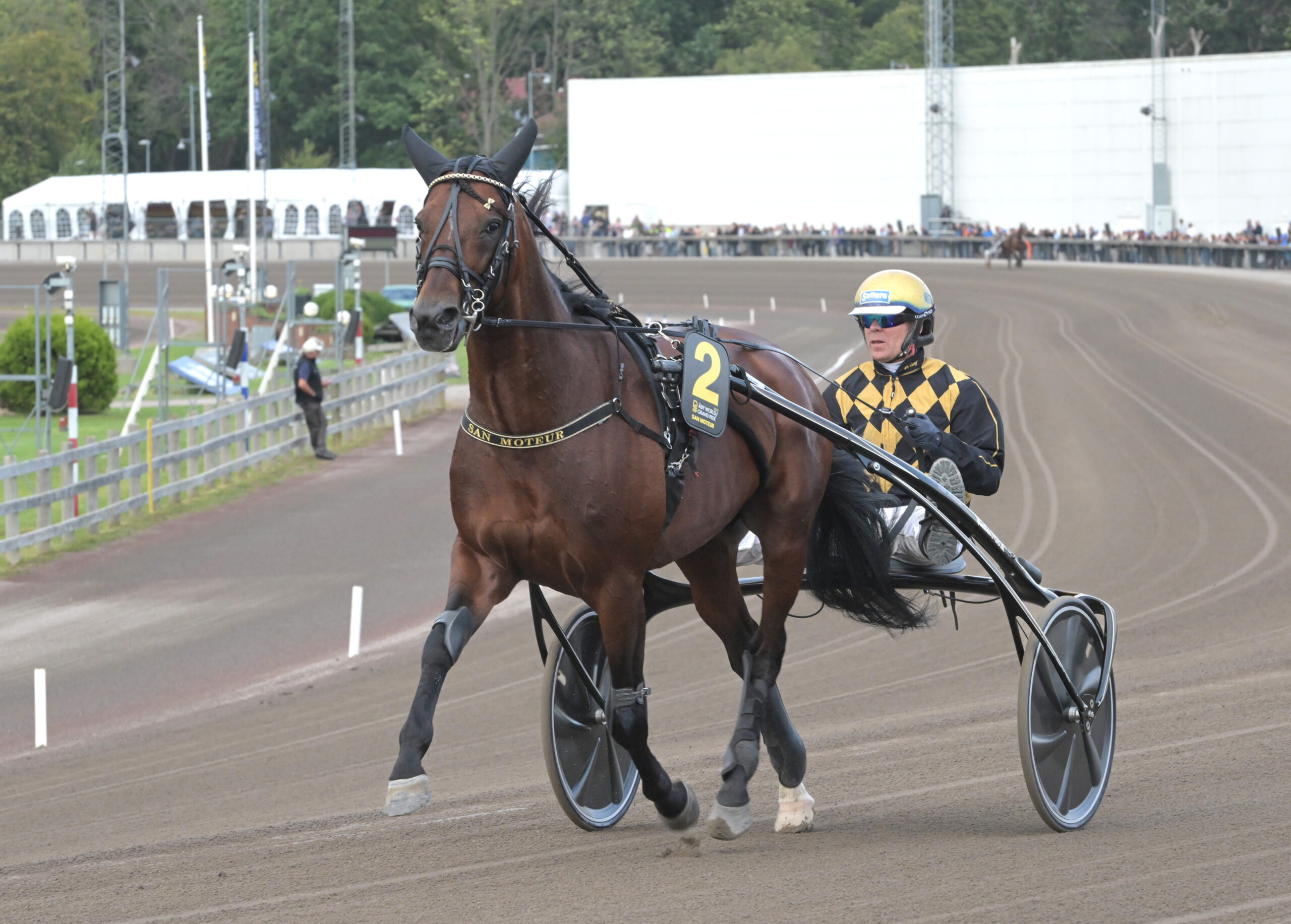 Inför V75: Favoritkollen San Moteur