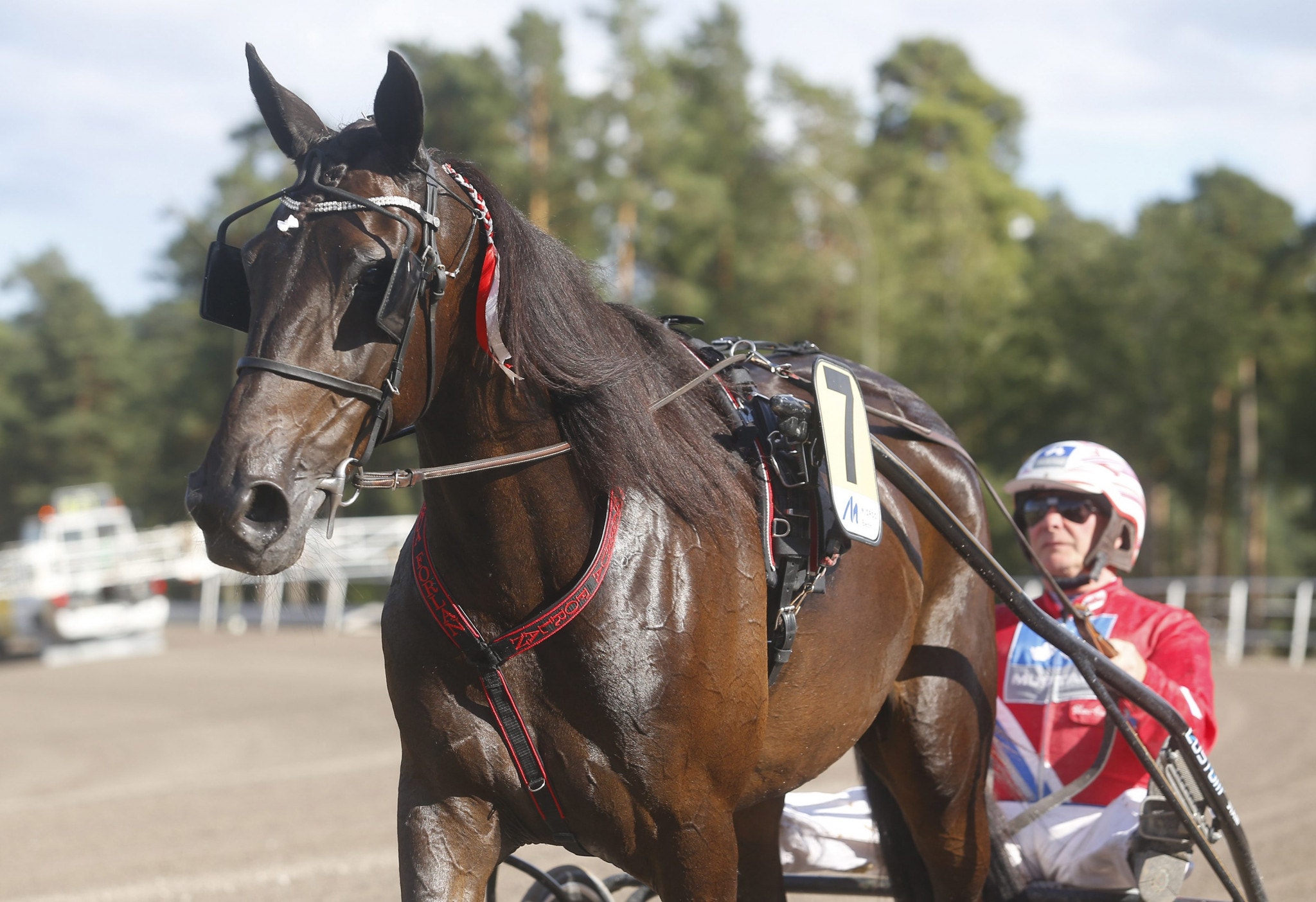 Charrua Forlan försvarar titeln i Hagmyren
