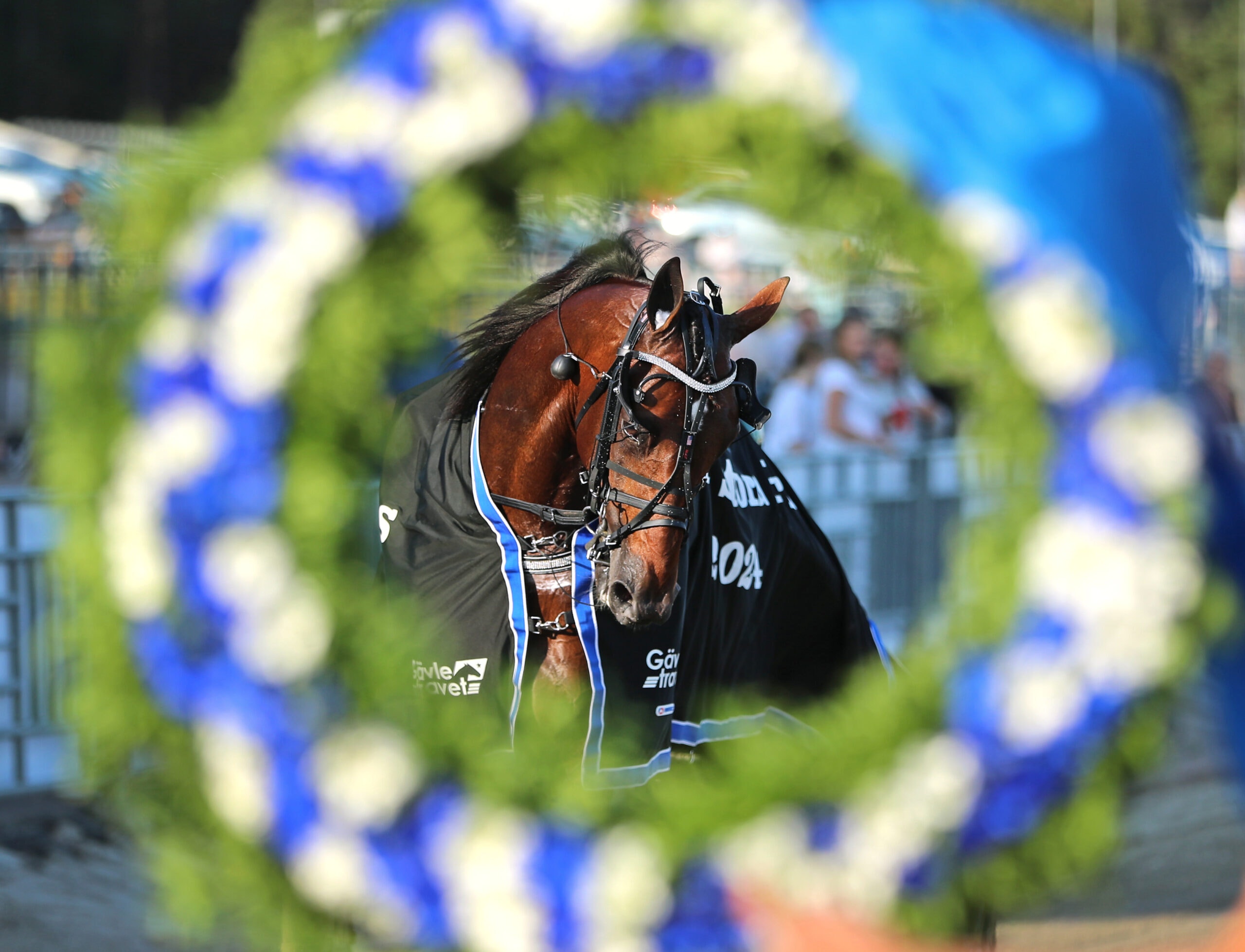 Foto: Maria Holmén, TR Bild