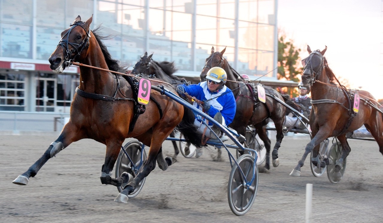 Dartster F:s lopp på Solvalla i april. Där får vi se Ecurie D. i årsdebut. Foto: Martin Langels, ALN
