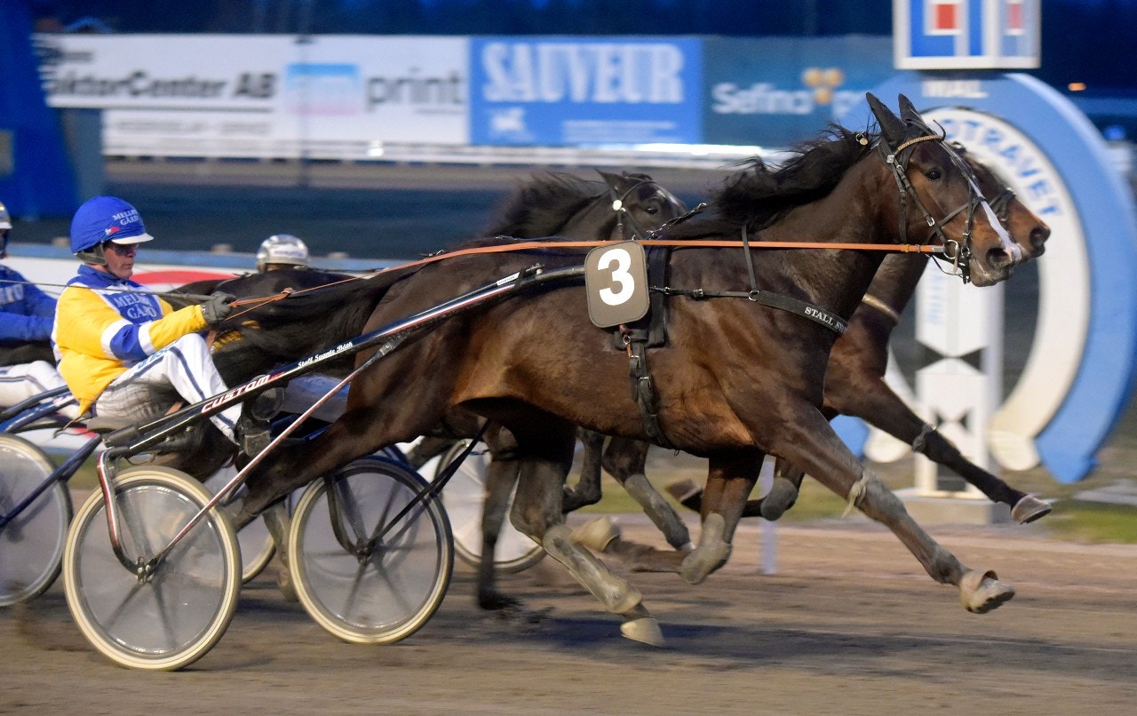 Mellby Jinx vid segern i Breeders Course för tvååringar i fjol. Foto: Martin Langels, ALN