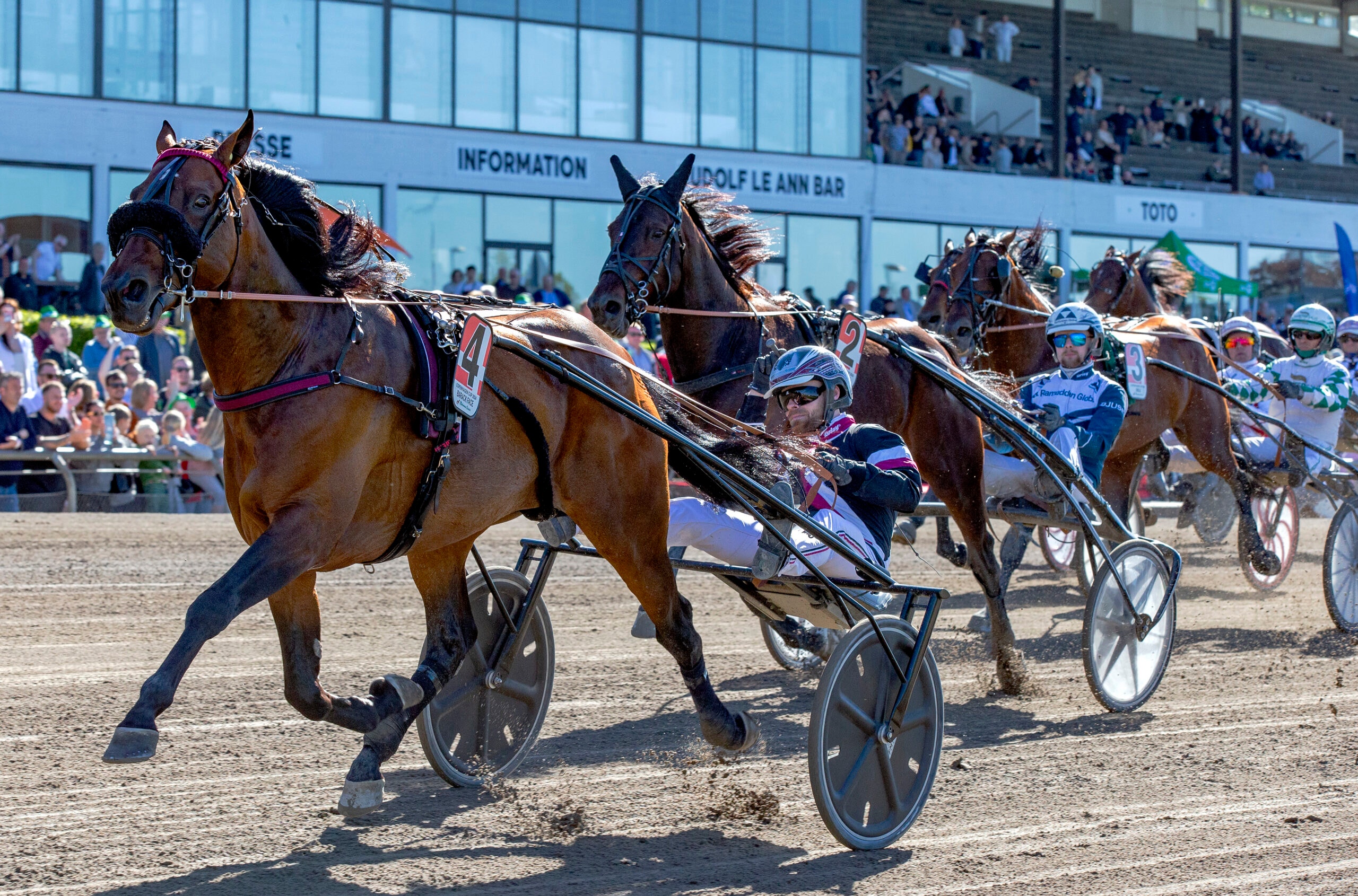 Foto: Burt Seeger/TR Bild