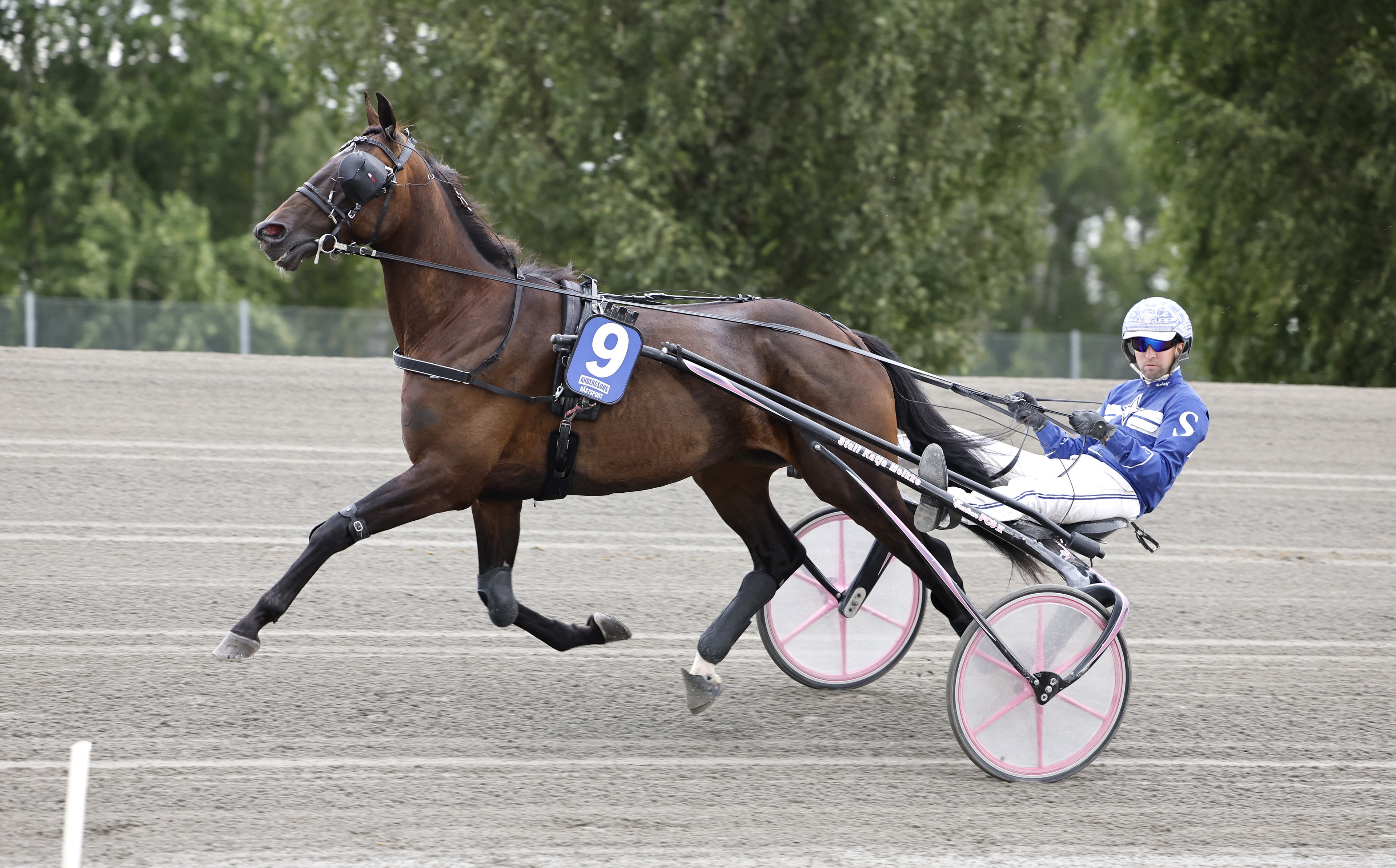 Nr 15 in i Åby Stora Pris: "Verkligen imponerande"