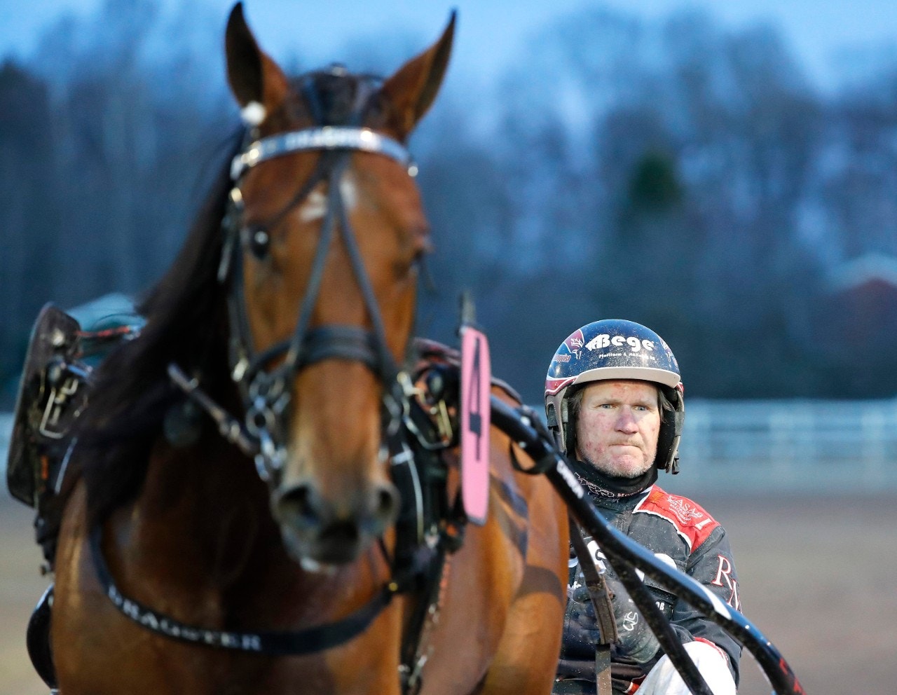 Dragster och Roger Malmqvist förbättrade banrekordet på Visbytravet. Foto: ALN