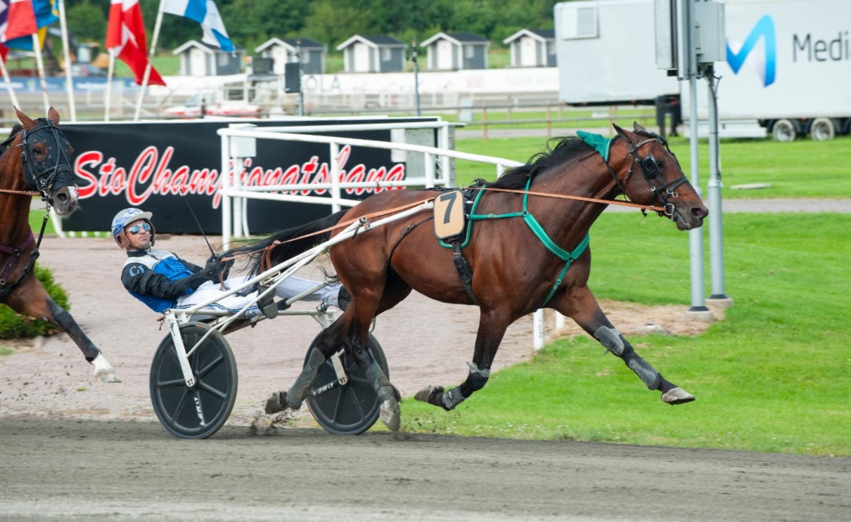 Handsome Brad stod för en berömvärt insats när segern i Axevallalöpning hemfördes. Foto: Johan Grundin, ALN