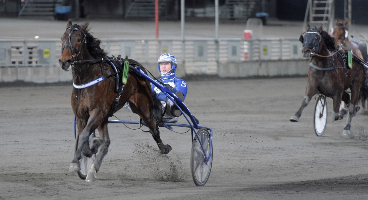 Det är dags för Merritt igen. Foto: Leif Norberg, ALN