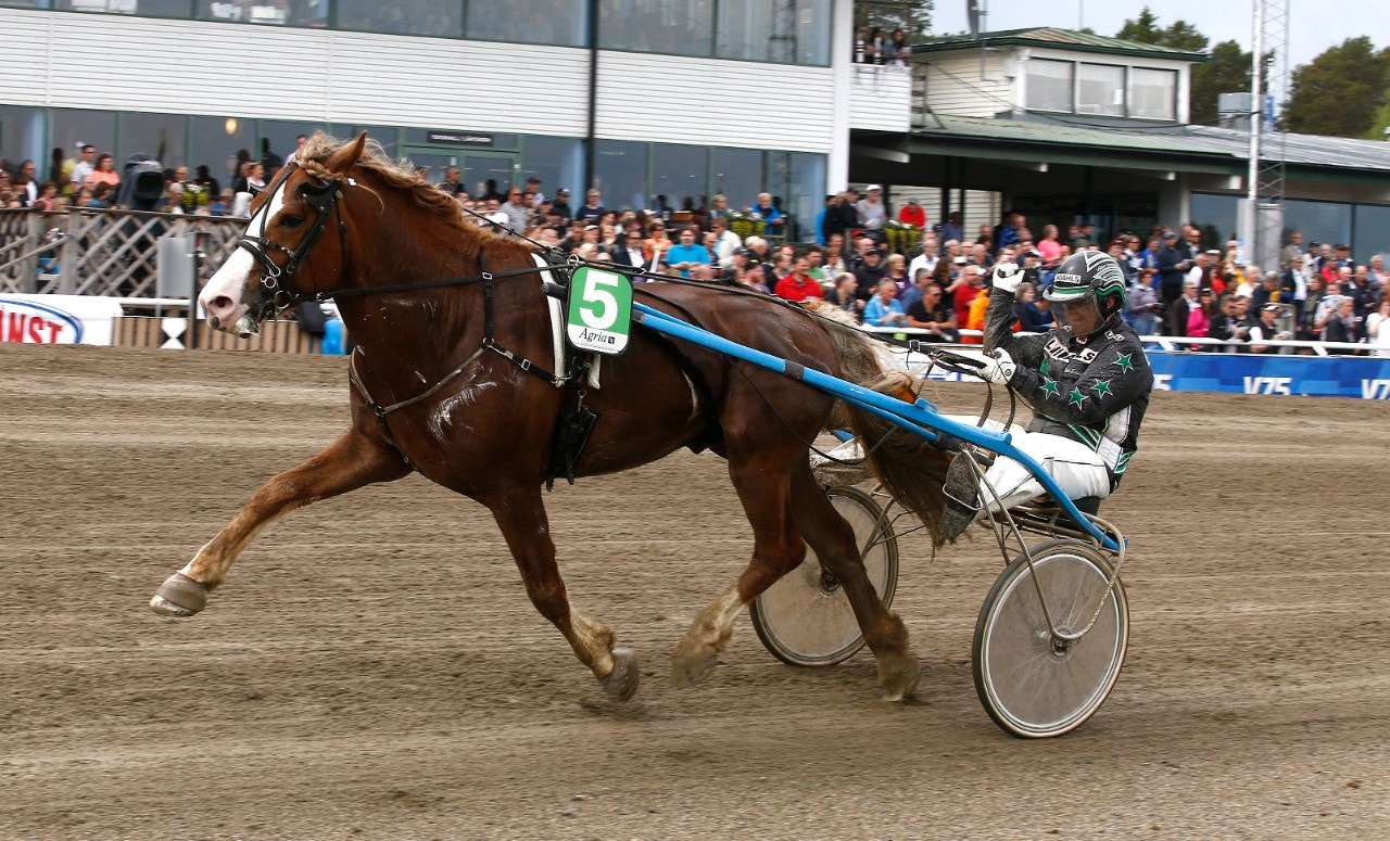 Vi tror mycket på Lukas Rauen. Foto: Hanold, ALN
