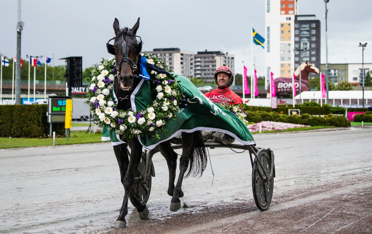 Tränaren Jerry Riordan vill ha med Aetos Kronos i Elitloppet. Foto: Jonathan Näckstrand, Bildbyrån