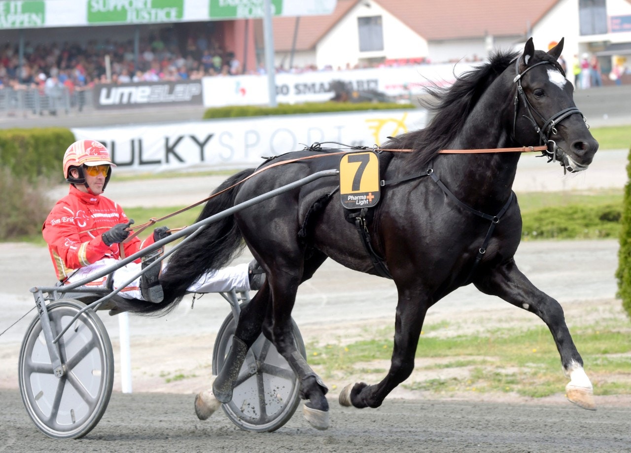 Ingbest inför Elitkampen 2017 - i år dyker han upp i Speedrace. Foto: Martin Langels, ALN