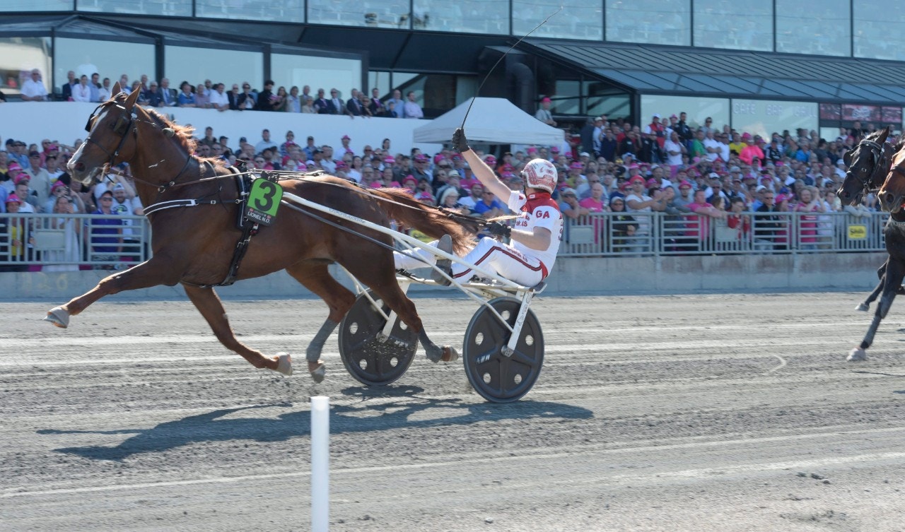Norske evighetsmaskinen Lionel är en av deltagarna i The Onions lopp. Foto: Leif Norberg, ALN