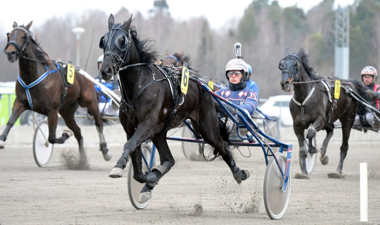 Jägersro 4 januari: Velasquez Gar rundar rubbet!