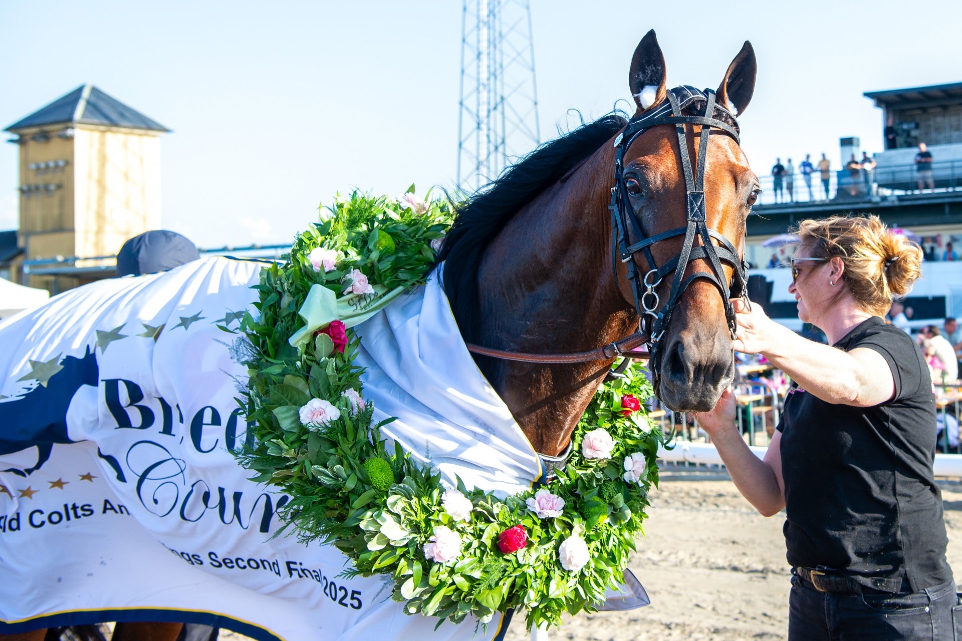 Dags att anmäla till Breeders Course – Jägersro först ut